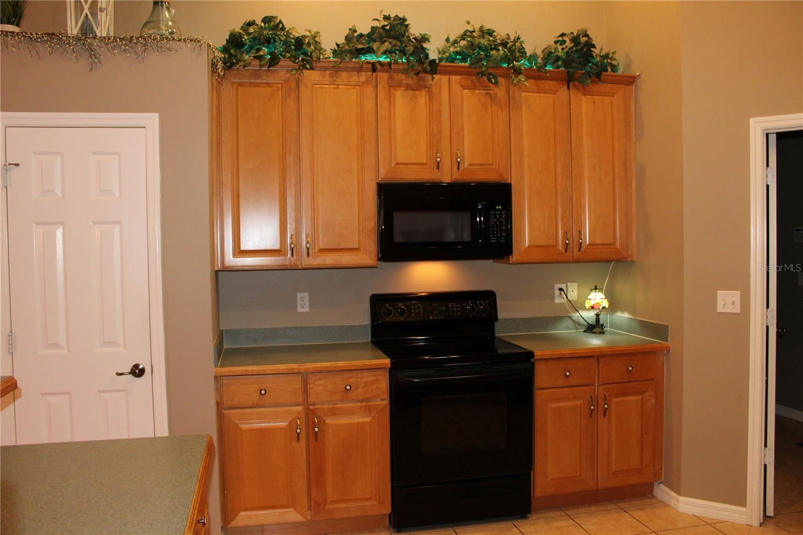 15210 WILLOW LN, TAVARES, FL, 32778