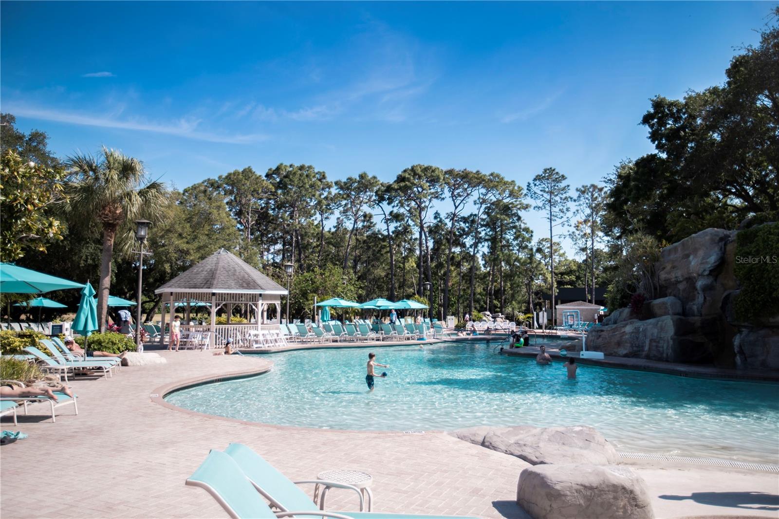 36750 US HIGHWAY 19 N #15-310, PALM HARBOR, FL, 34684