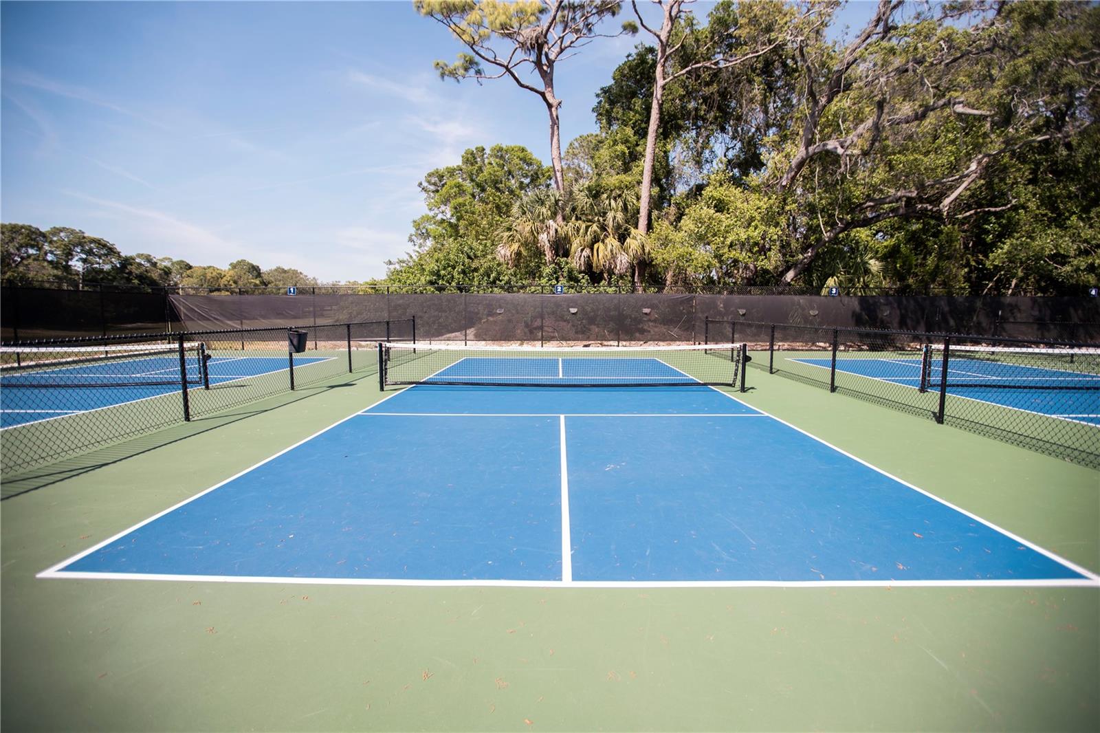 36750 US HIGHWAY 19 N #15-310, PALM HARBOR, FL, 34684