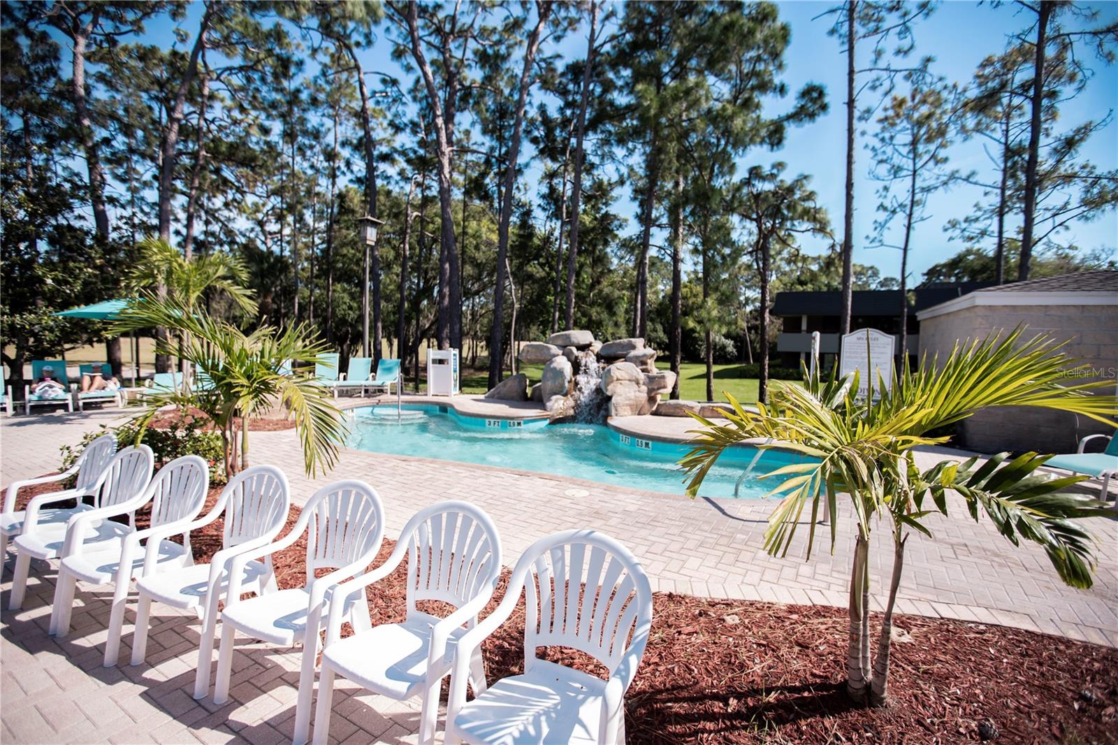 36750 US HIGHWAY 19 N #15-310, PALM HARBOR, FL, 34684