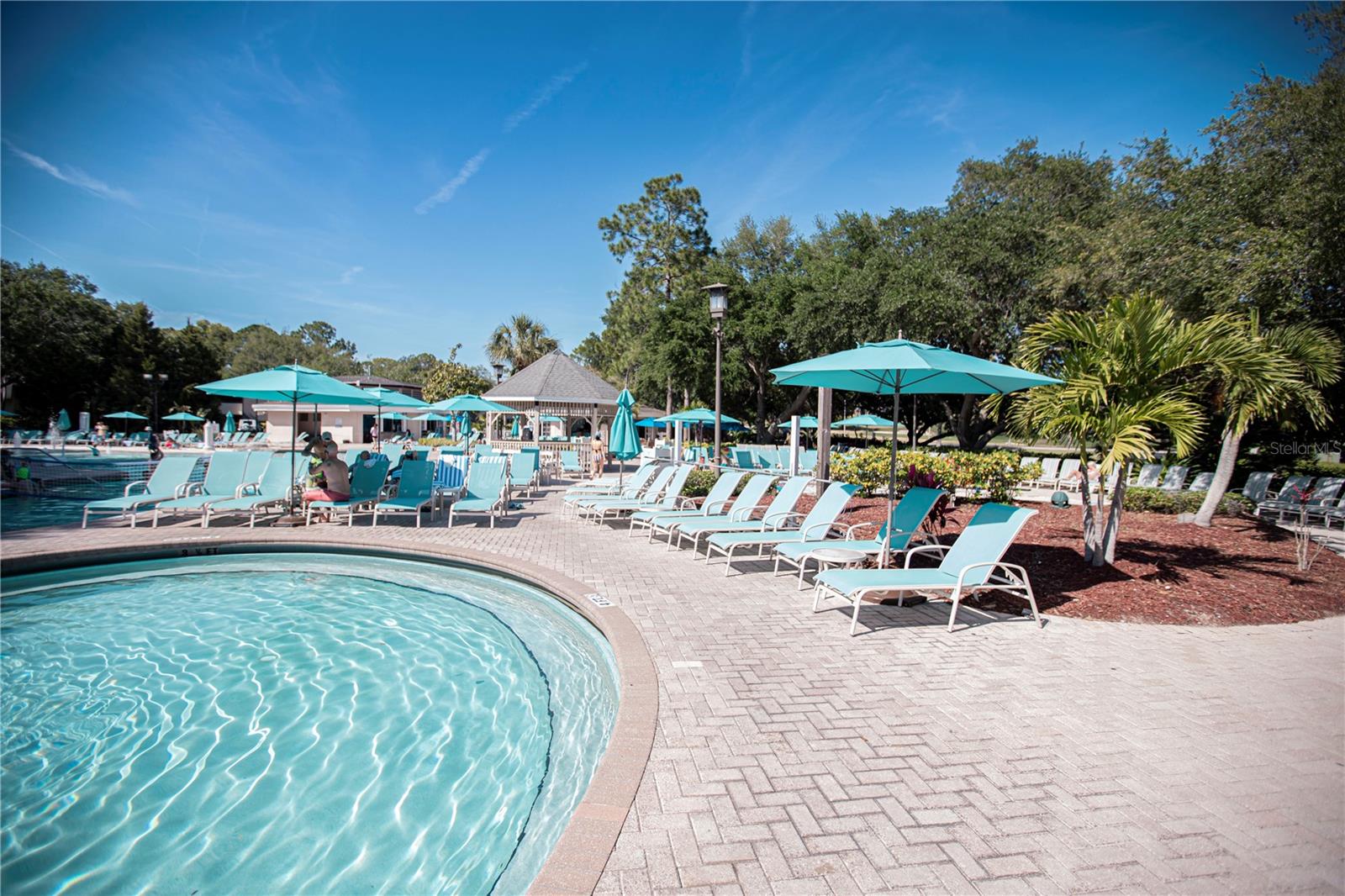 36750 US HIGHWAY 19 N #15-310, PALM HARBOR, FL, 34684
