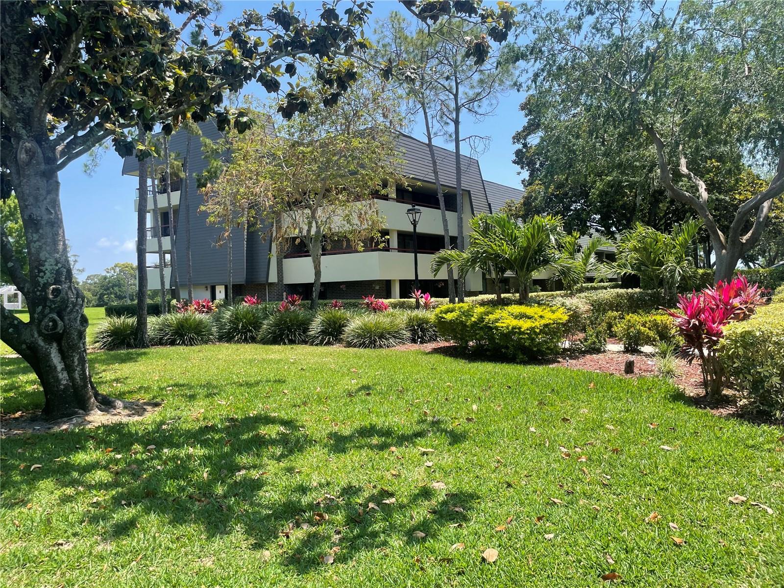 36750 US HIGHWAY 19 N #15-310, PALM HARBOR, FL, 34684