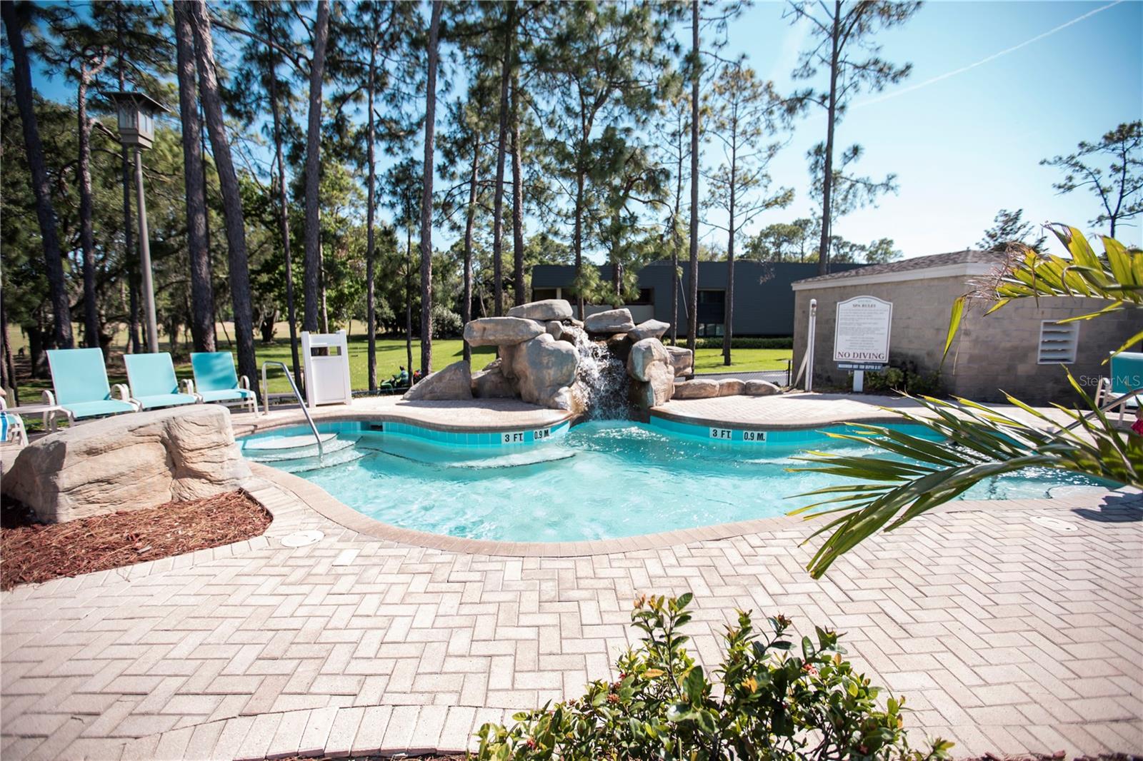 36750 US HIGHWAY 19 N #15-310, PALM HARBOR, FL, 34684