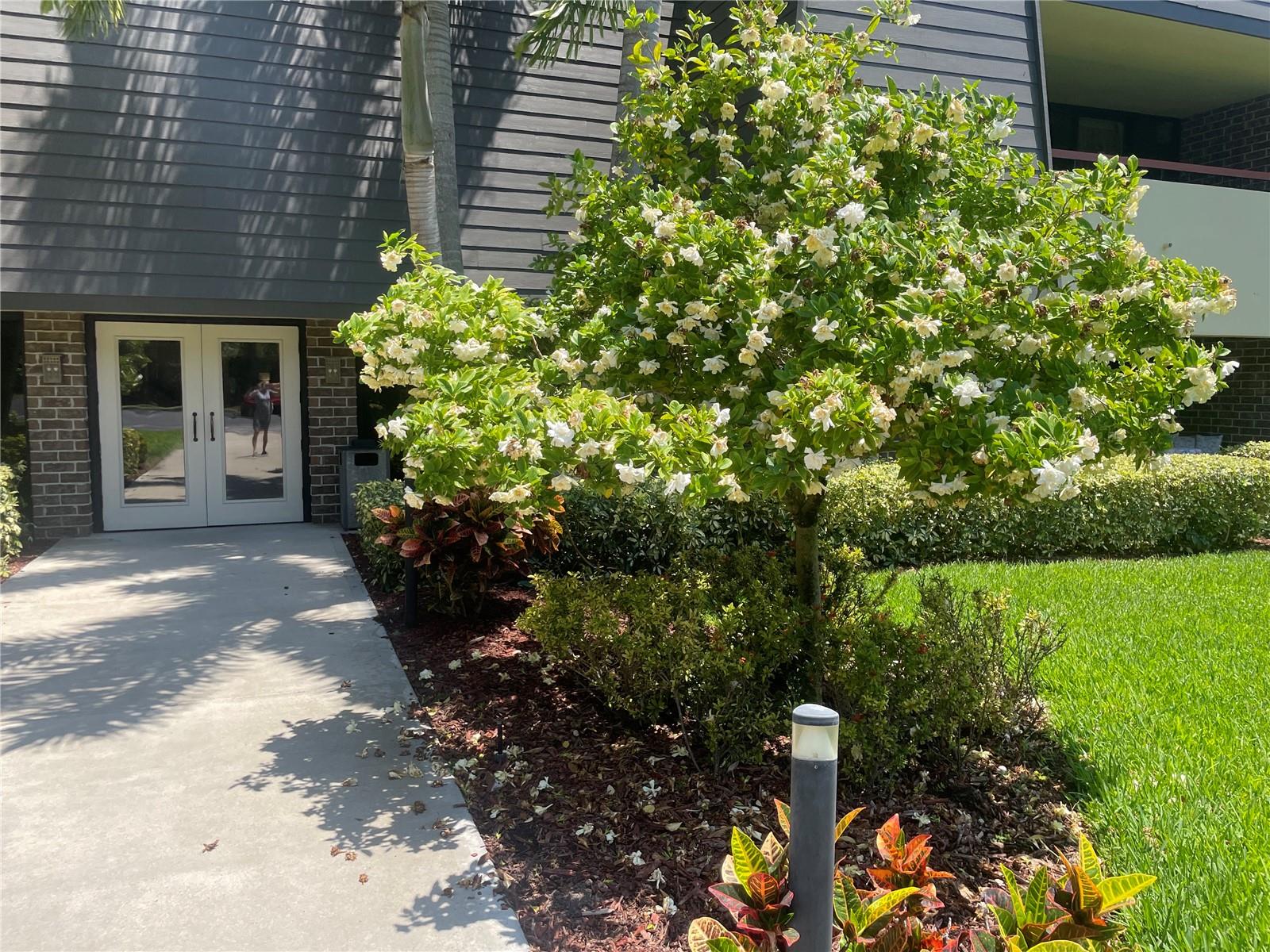 36750 US HIGHWAY 19 N #15-310, PALM HARBOR, FL, 34684