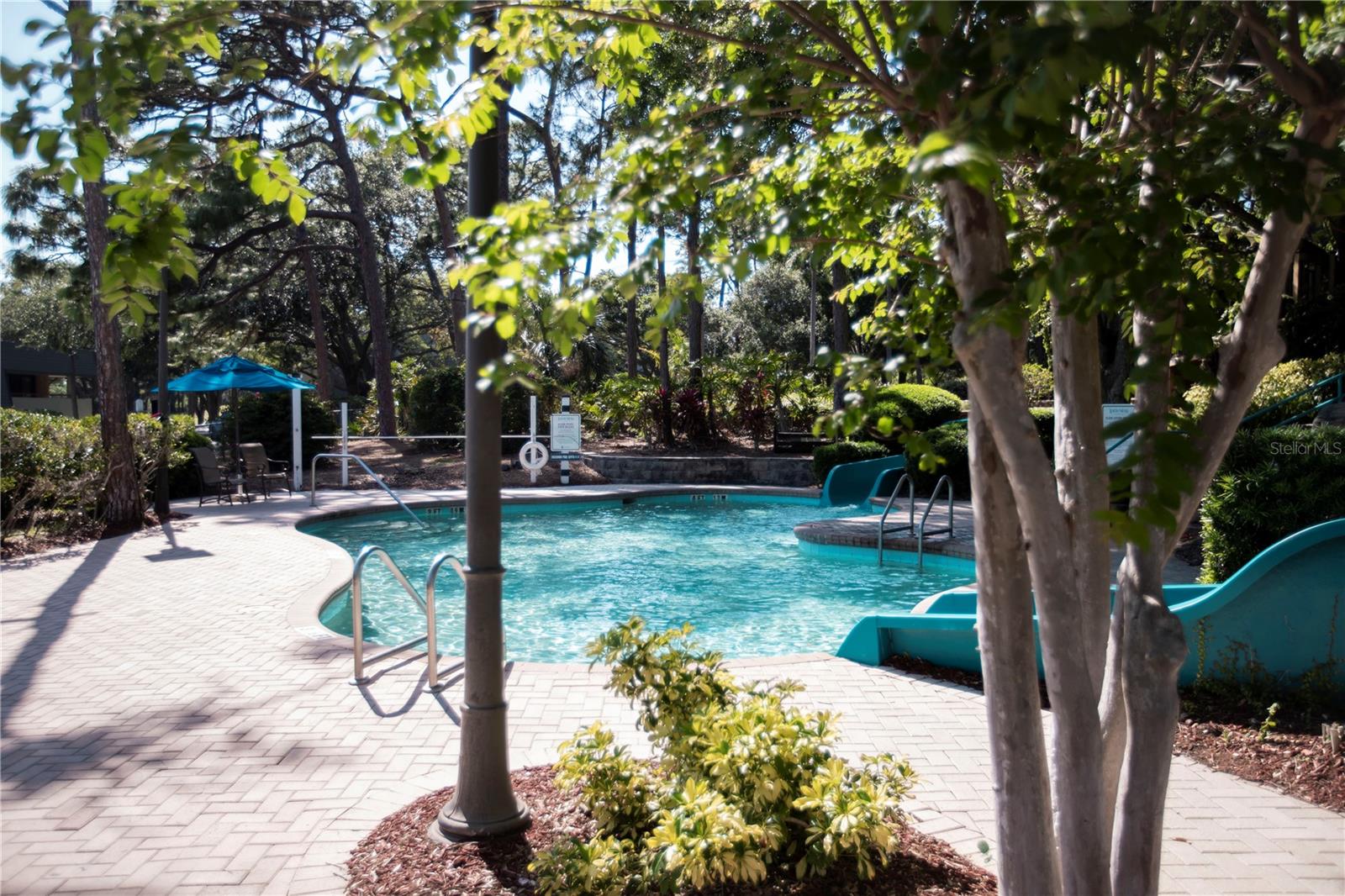 36750 US HIGHWAY 19 N #15-310, PALM HARBOR, FL, 34684