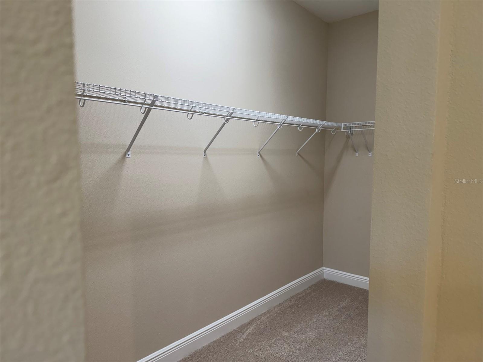 6248 HIDDEN BRANCH DR, APOLLO BEACH, FL, 33572