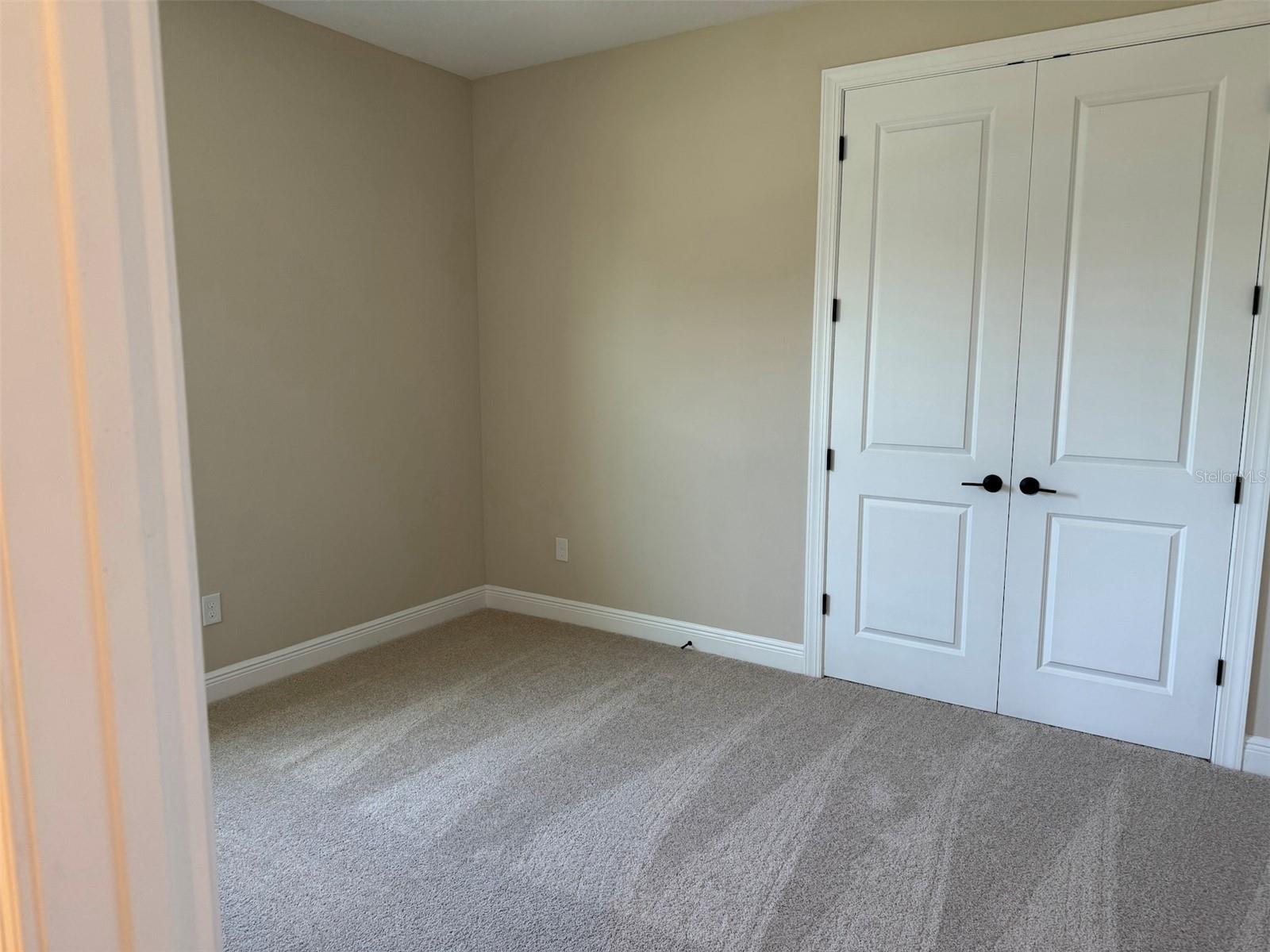 6248 HIDDEN BRANCH DR, APOLLO BEACH, FL, 33572