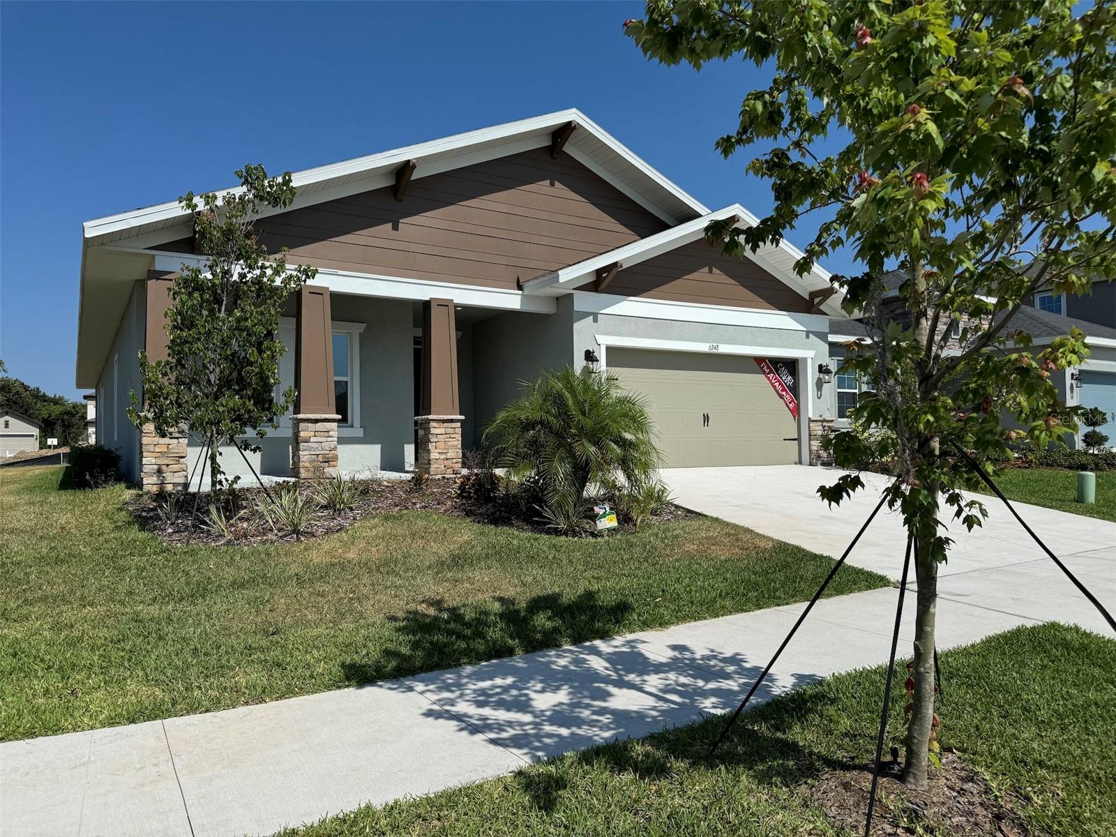 6248 HIDDEN BRANCH DR, APOLLO BEACH, FL, 33572