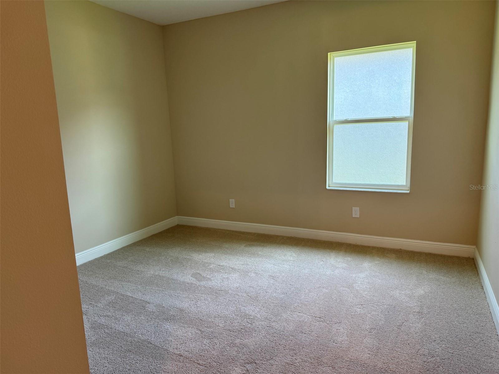 6248 HIDDEN BRANCH DR, APOLLO BEACH, FL, 33572