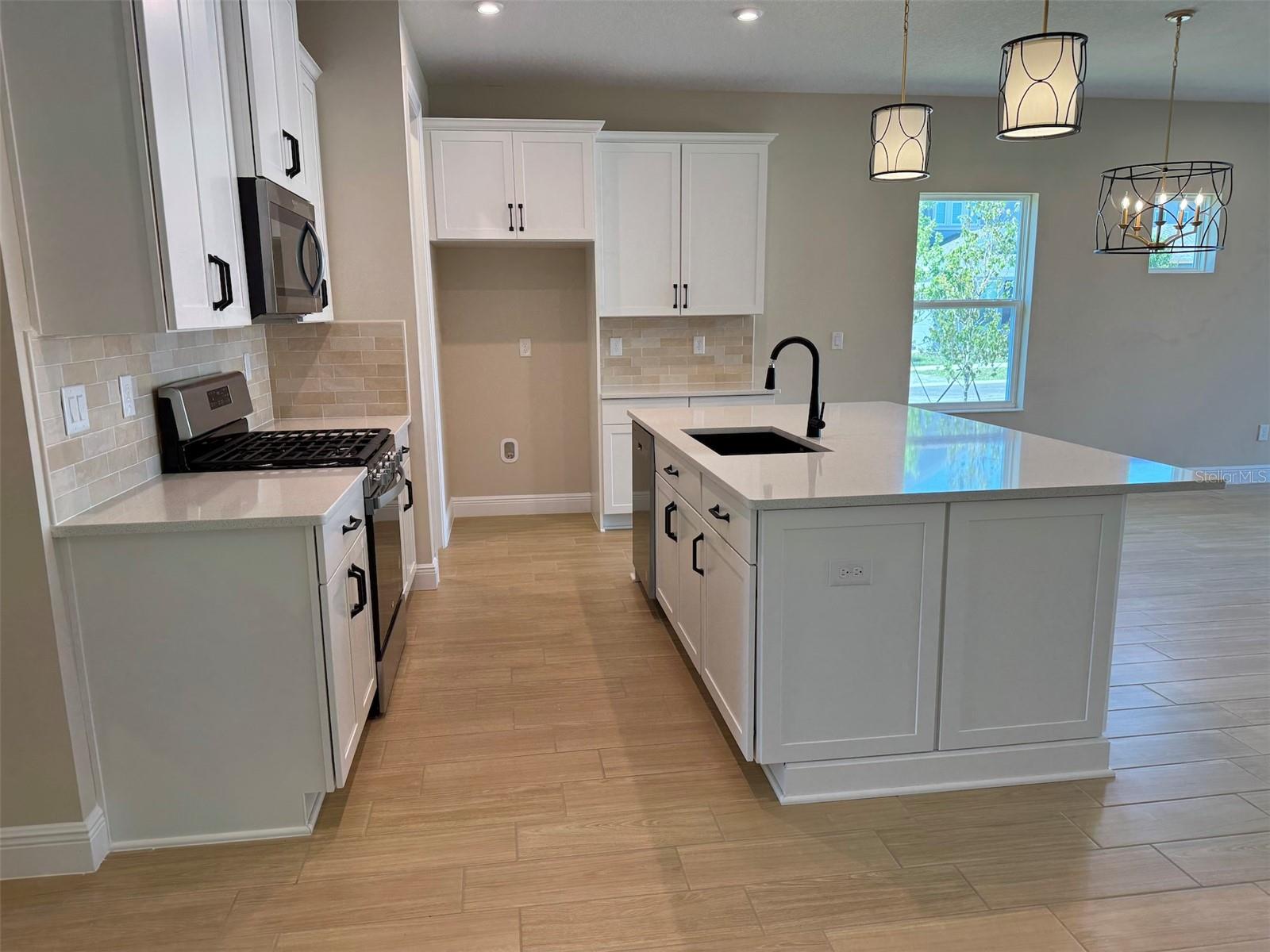 6248 HIDDEN BRANCH DR, APOLLO BEACH, FL, 33572