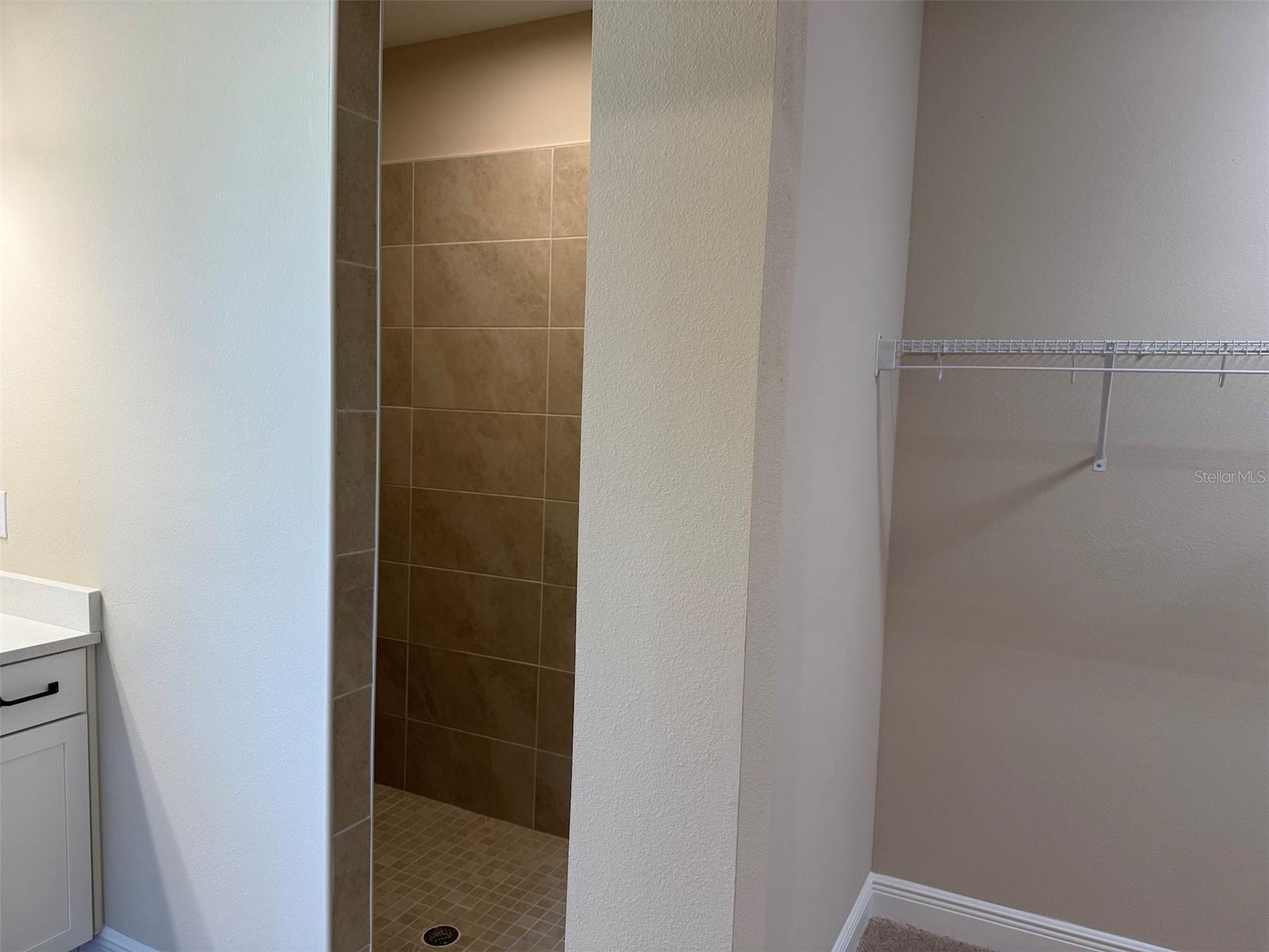 6248 HIDDEN BRANCH DR, APOLLO BEACH, FL, 33572