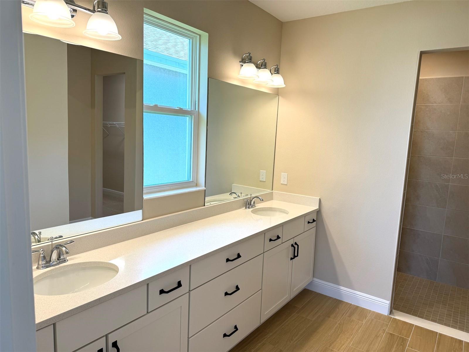 6248 HIDDEN BRANCH DR, APOLLO BEACH, FL, 33572