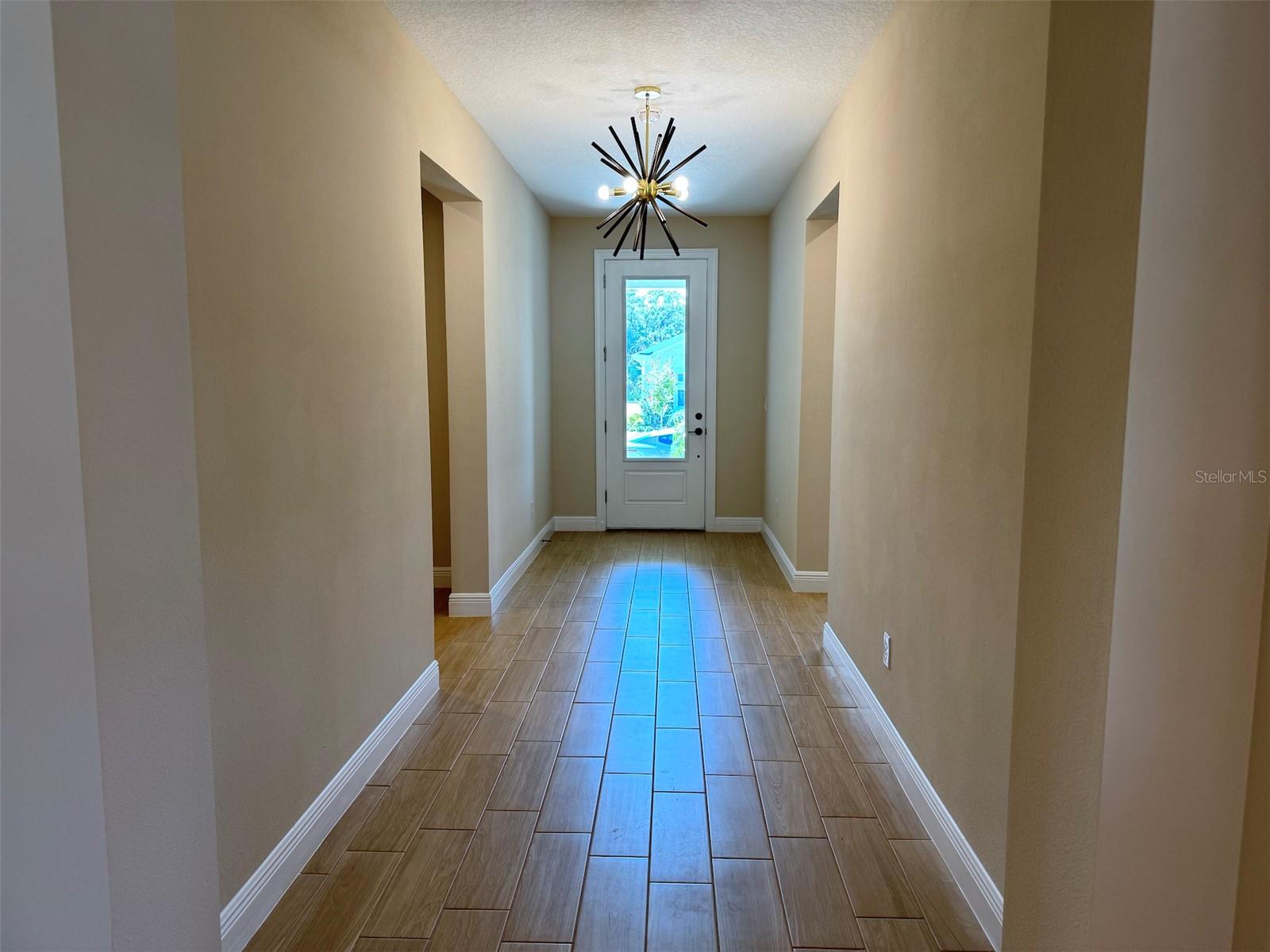 6248 HIDDEN BRANCH DR, APOLLO BEACH, FL, 33572