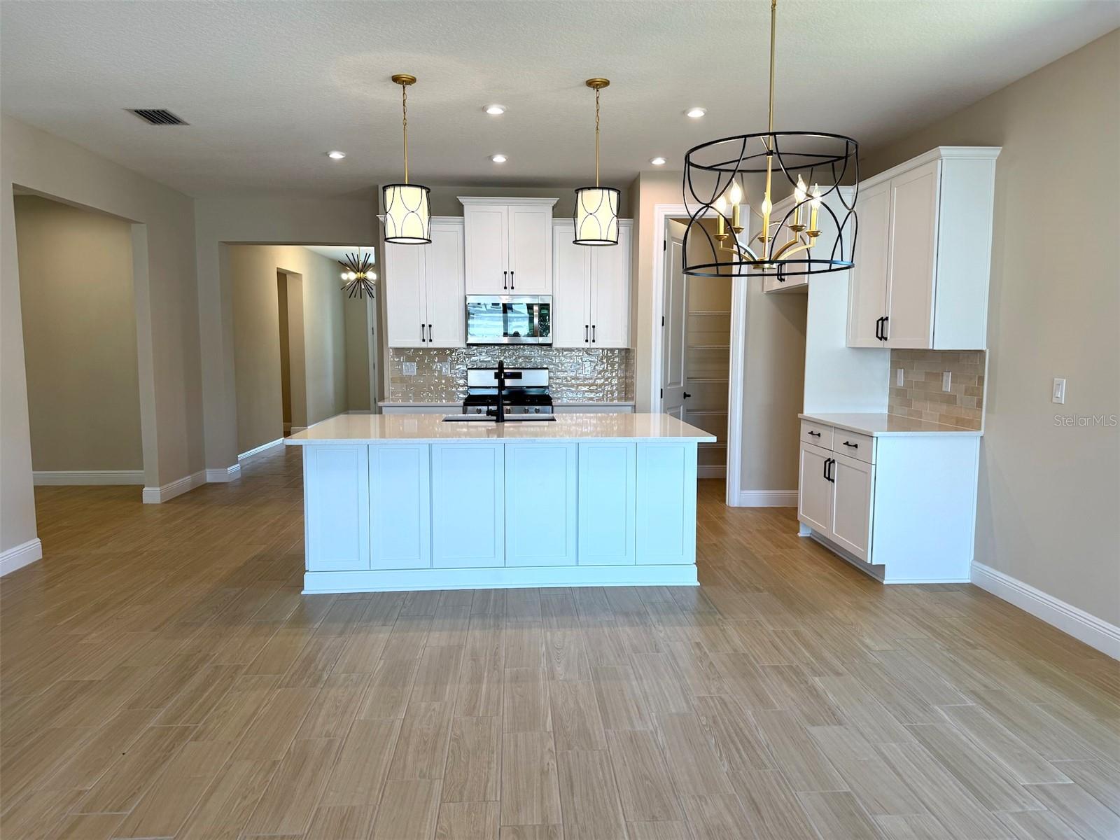 6248 HIDDEN BRANCH DR, APOLLO BEACH, FL, 33572