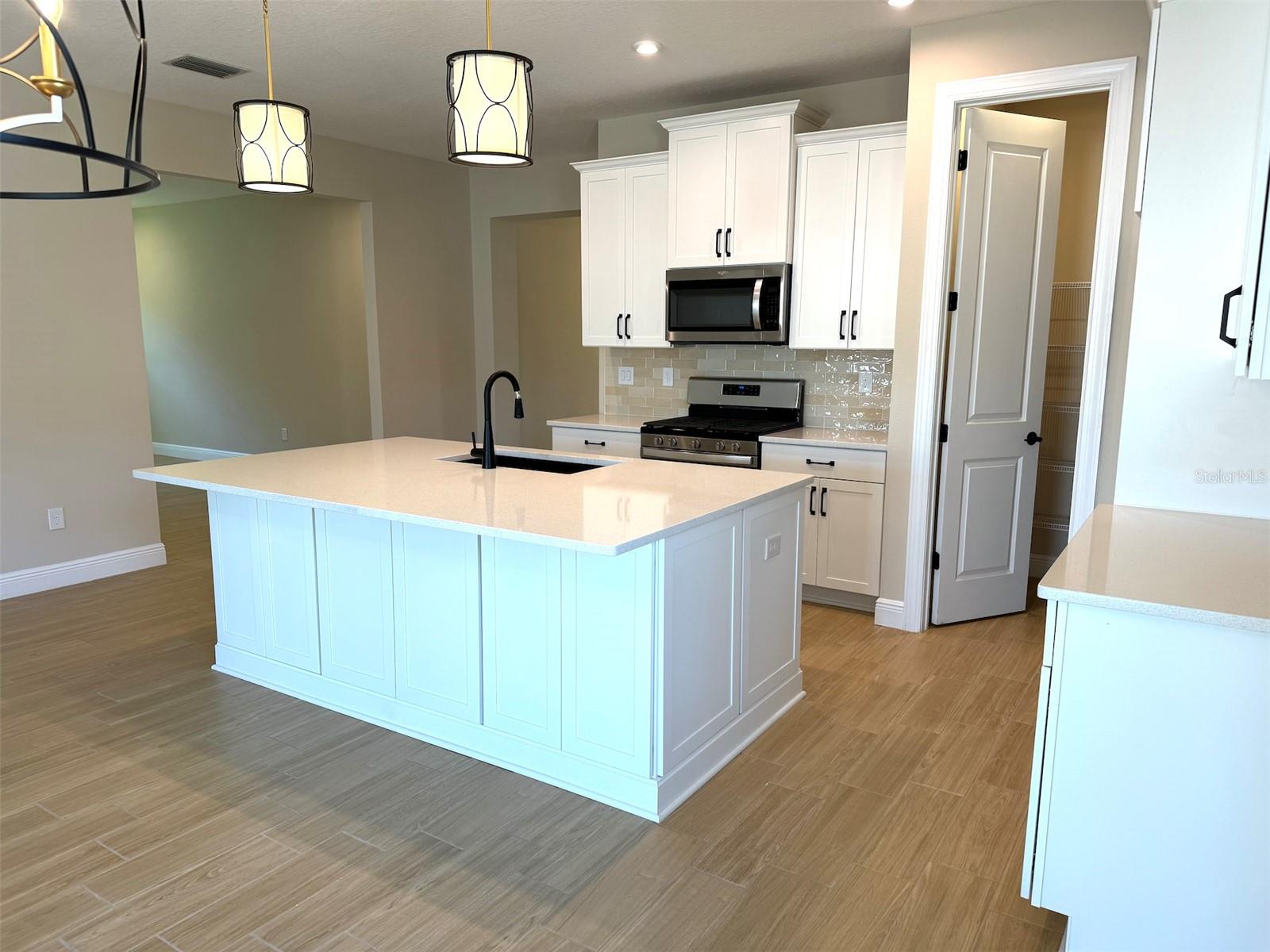 6248 HIDDEN BRANCH DR, APOLLO BEACH, FL, 33572
