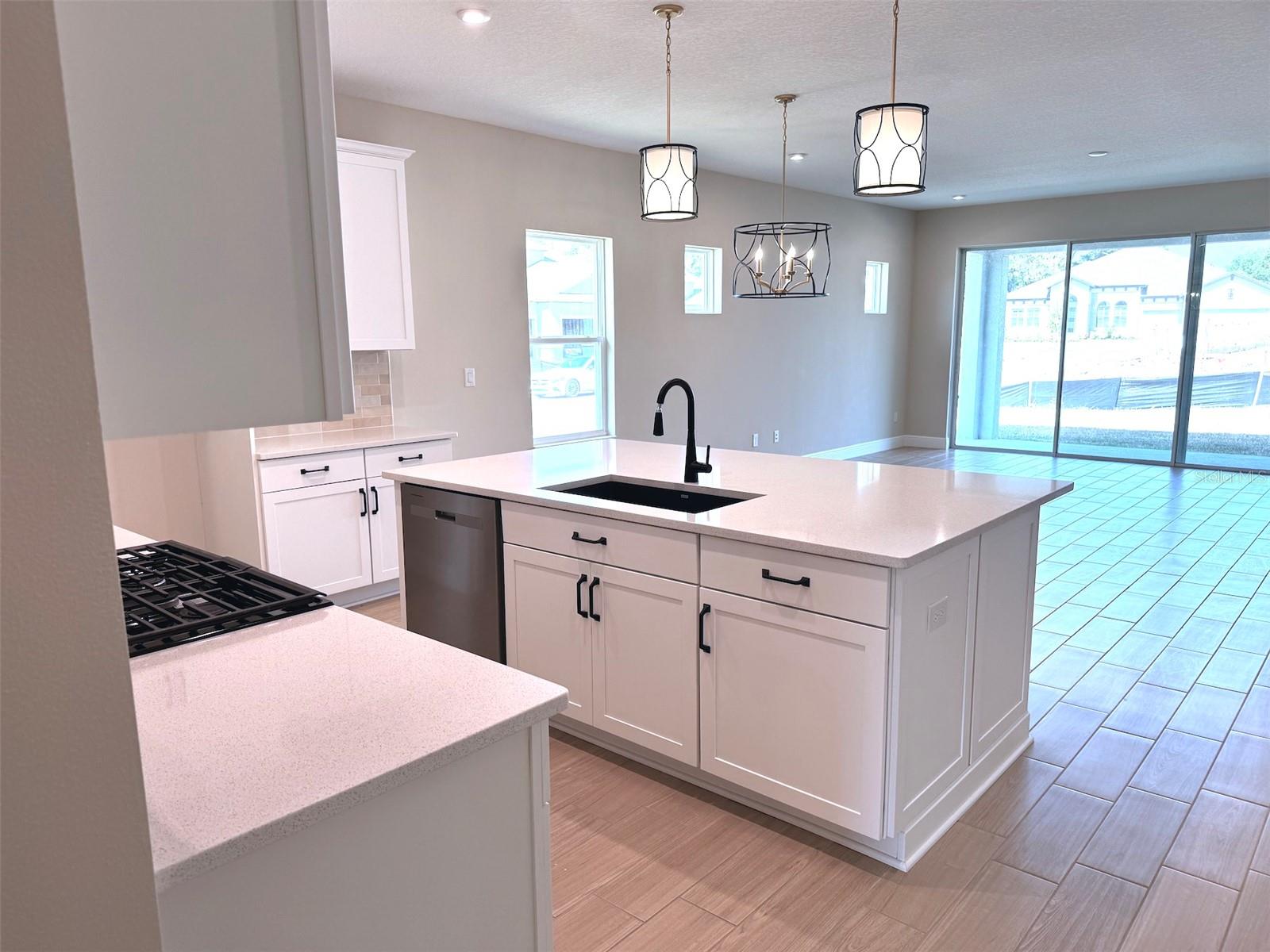 6248 HIDDEN BRANCH DR, APOLLO BEACH, FL, 33572