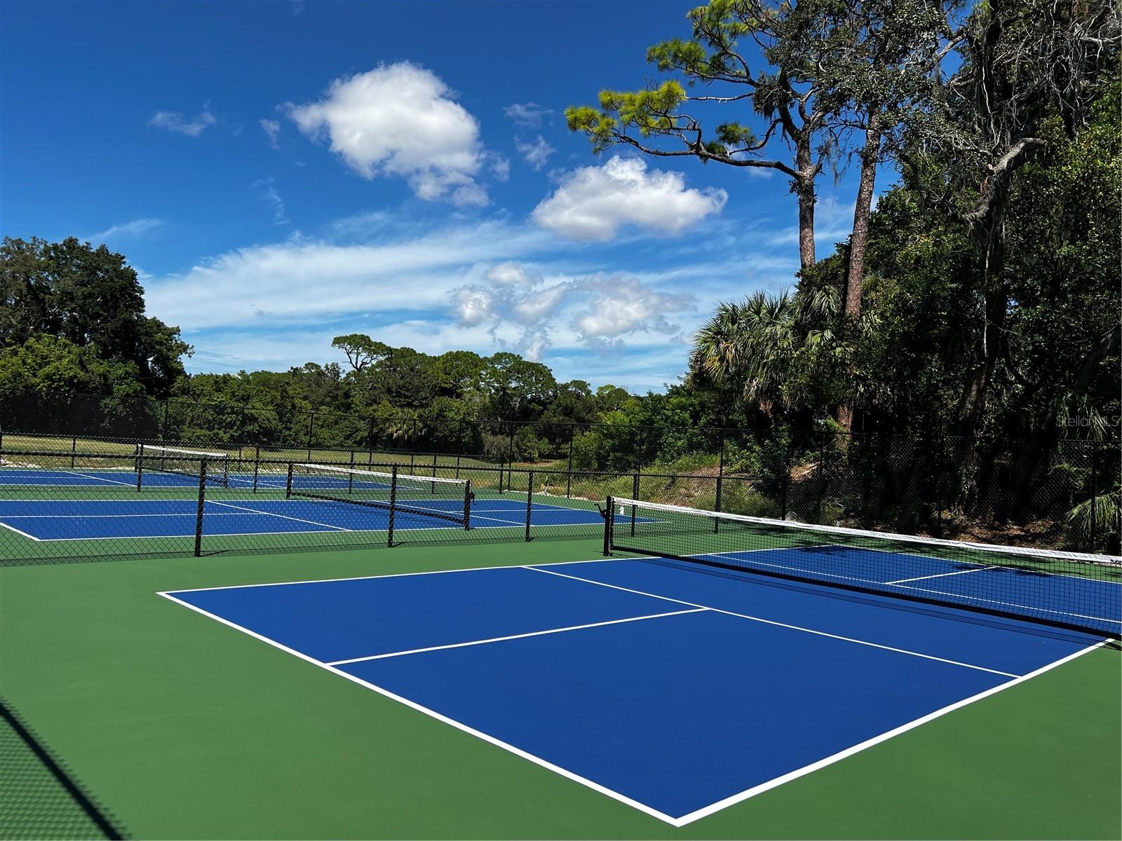 36750 US HIGHWAY 19 N #22208, PALM HARBOR, FL, 34684