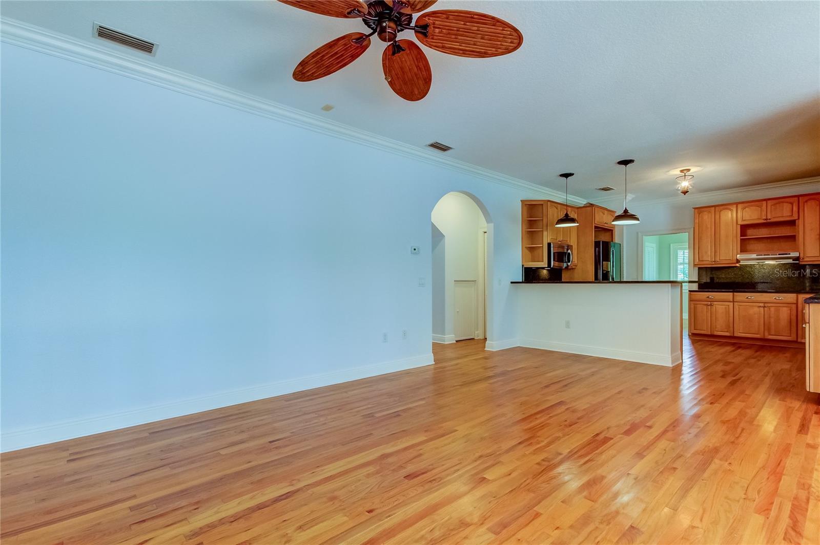 7510 N MOBLEY RD, ODESSA, FL, 33556
