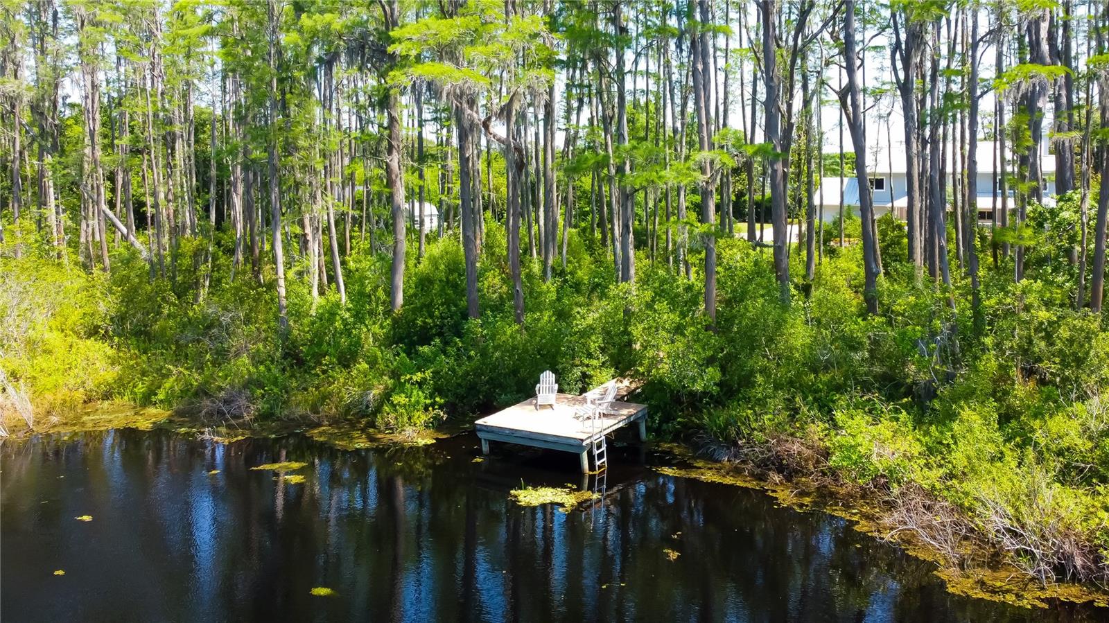 7510 N MOBLEY RD, ODESSA, FL, 33556