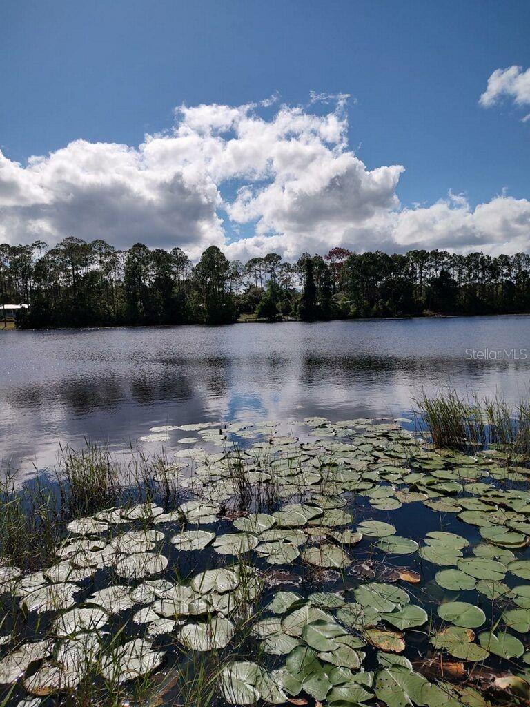 112 BAYBERRY RD, GEORGETOWN, FL, 32139