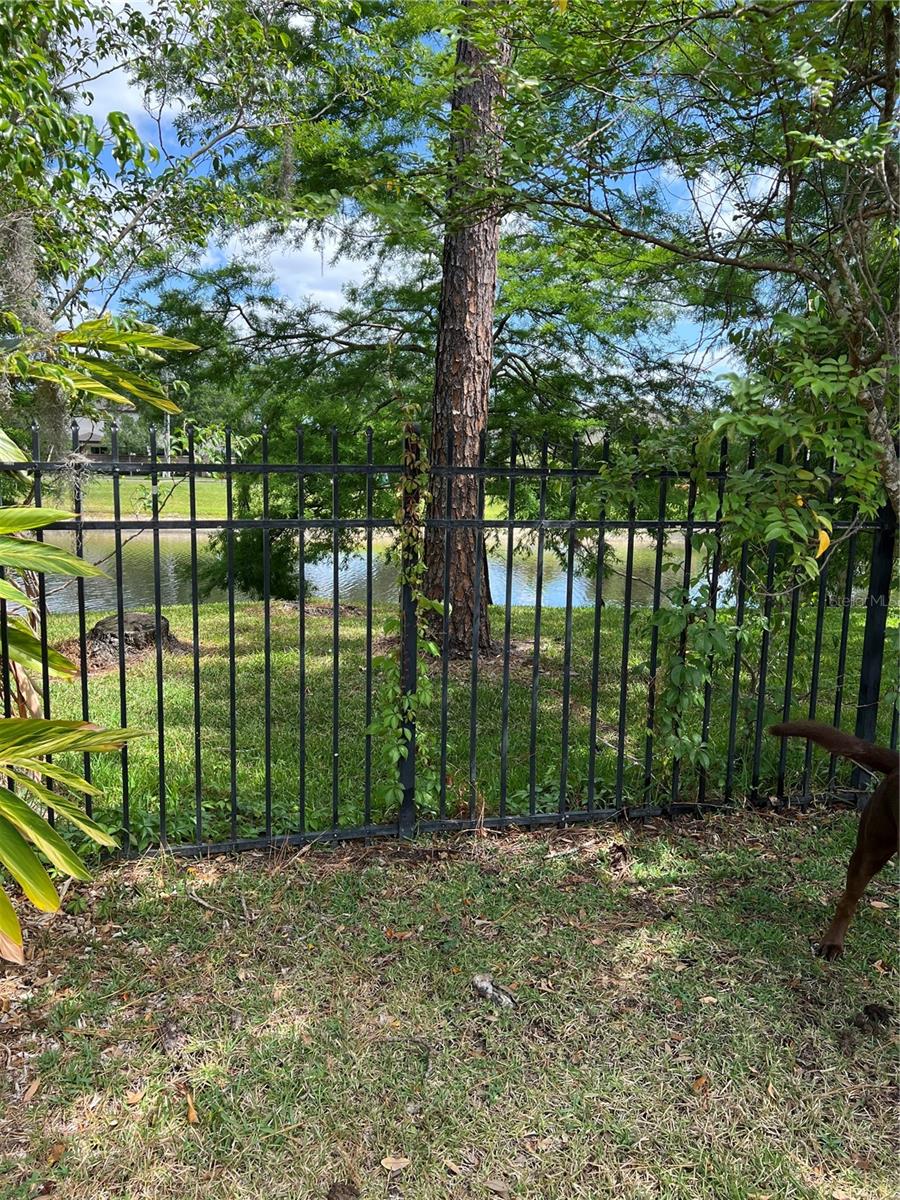 1201 THORNBURY CT, WINTER GARDEN, FL, 34787