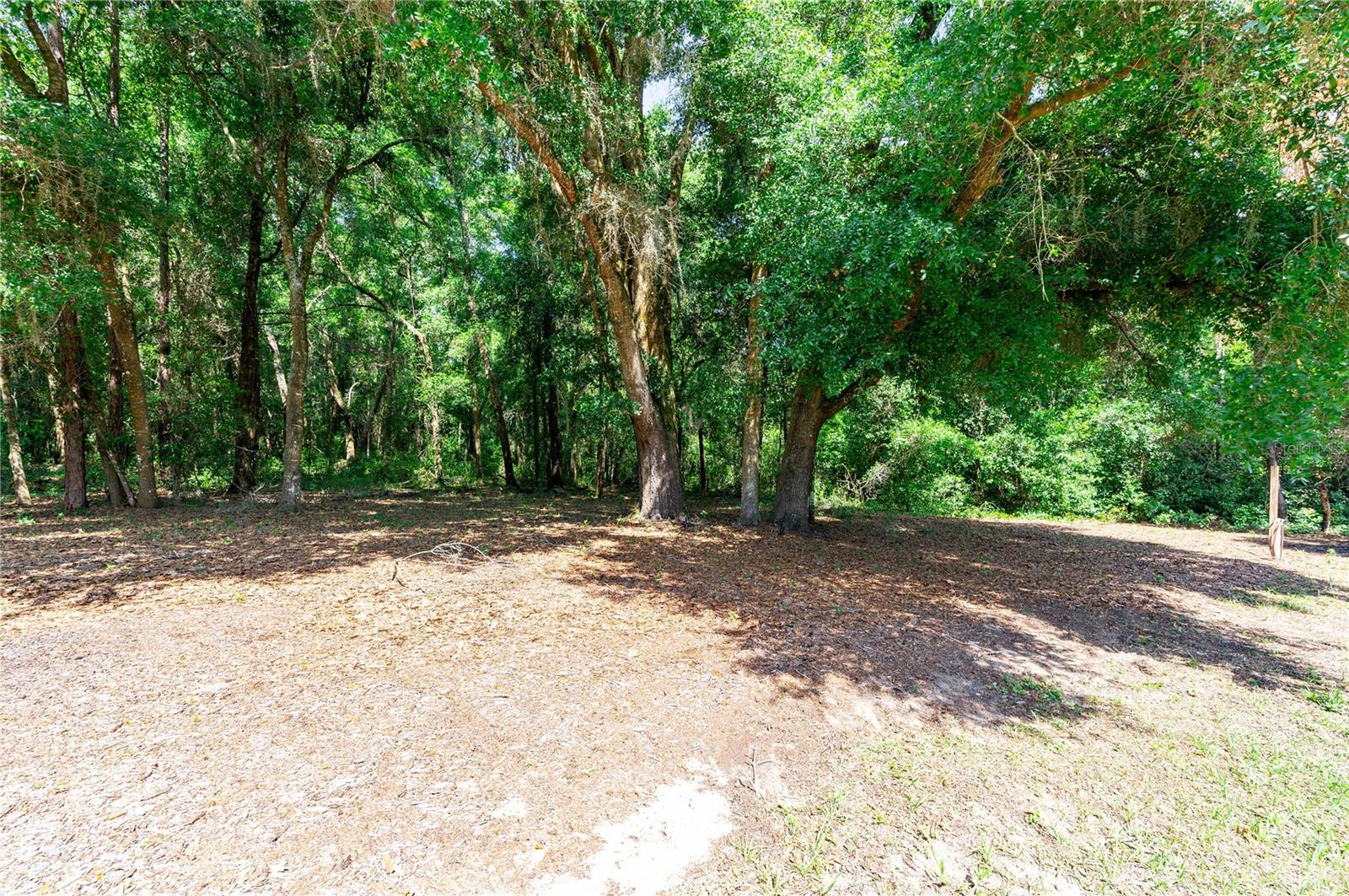 13721 RIADA WAY, DADE CITY FL,33525 WAY, DADE CITY, FL, 33525