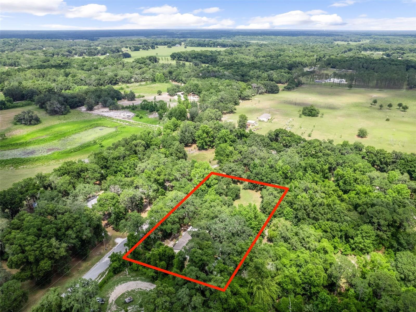 9101 CR 647D, BUSHNELL, FL, 33513