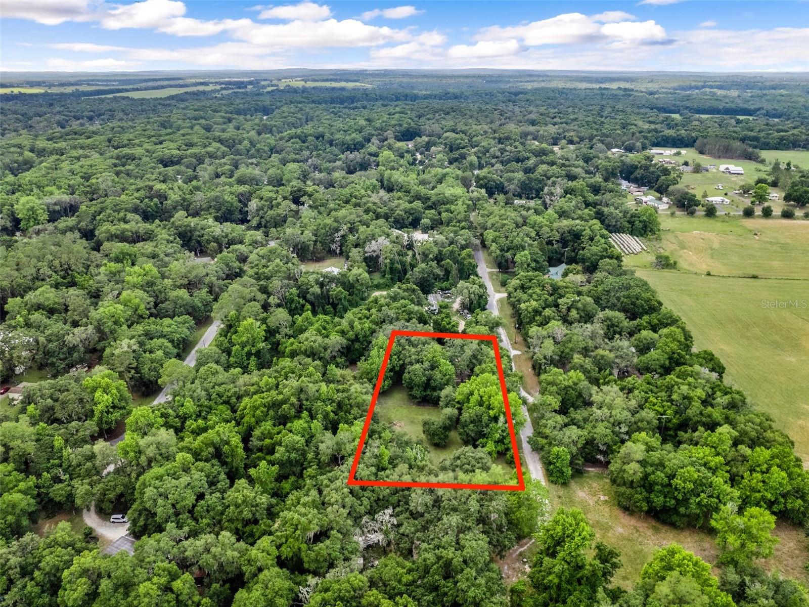 9101 CR 647D, BUSHNELL, FL, 33513