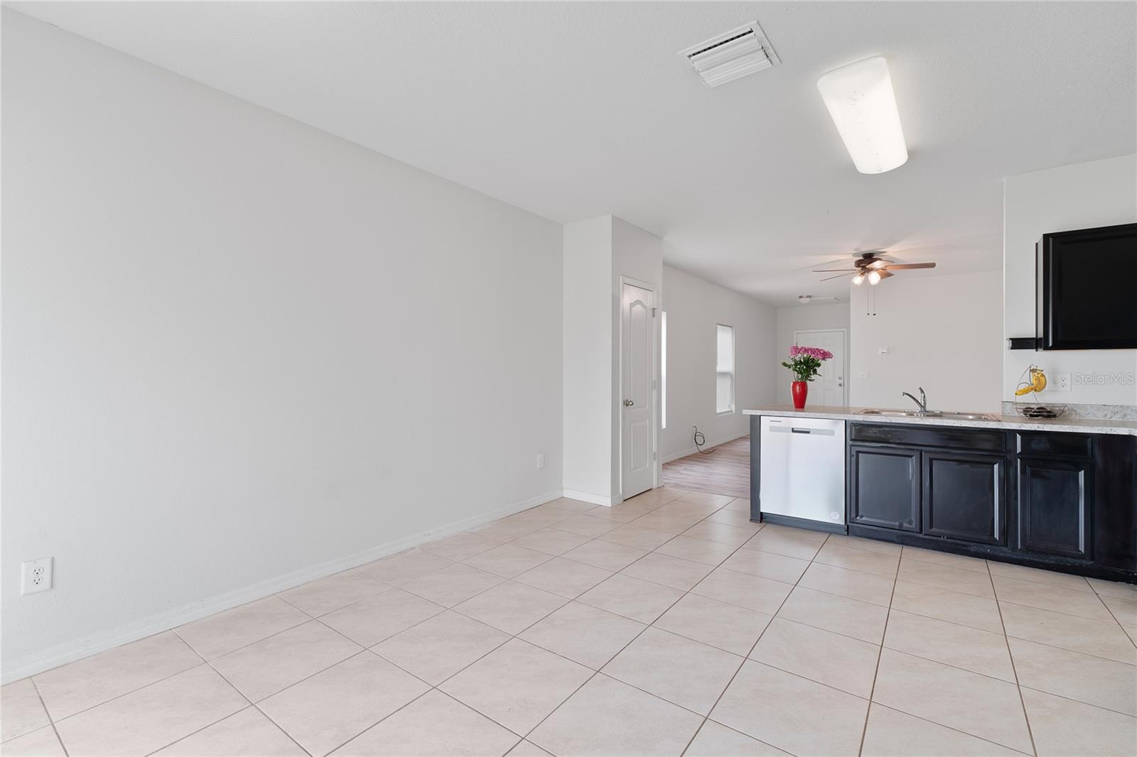 14415 DUNROBIN DR, WIMAUMA, FL, 33598