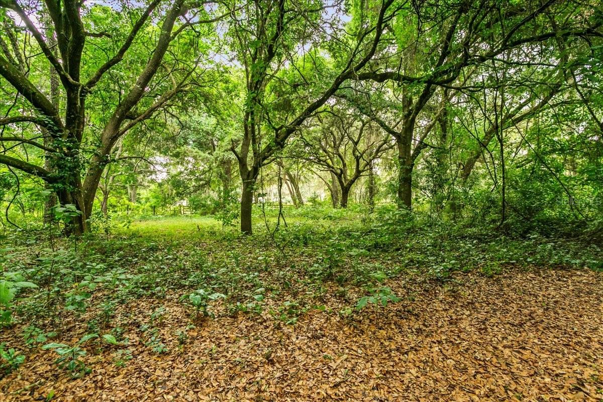 8400 S RAINDROP PT, FLORAL CITY, FL, 34436