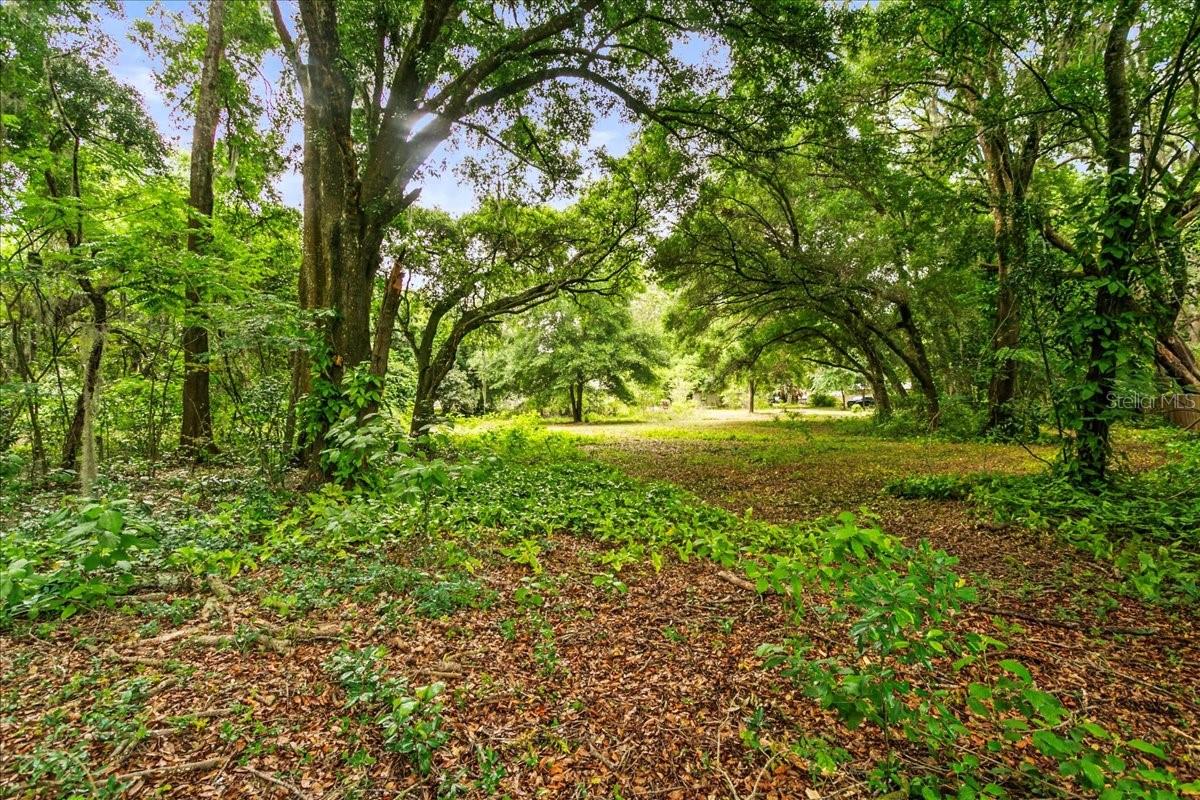 8400 S RAINDROP PT, FLORAL CITY, FL, 34436