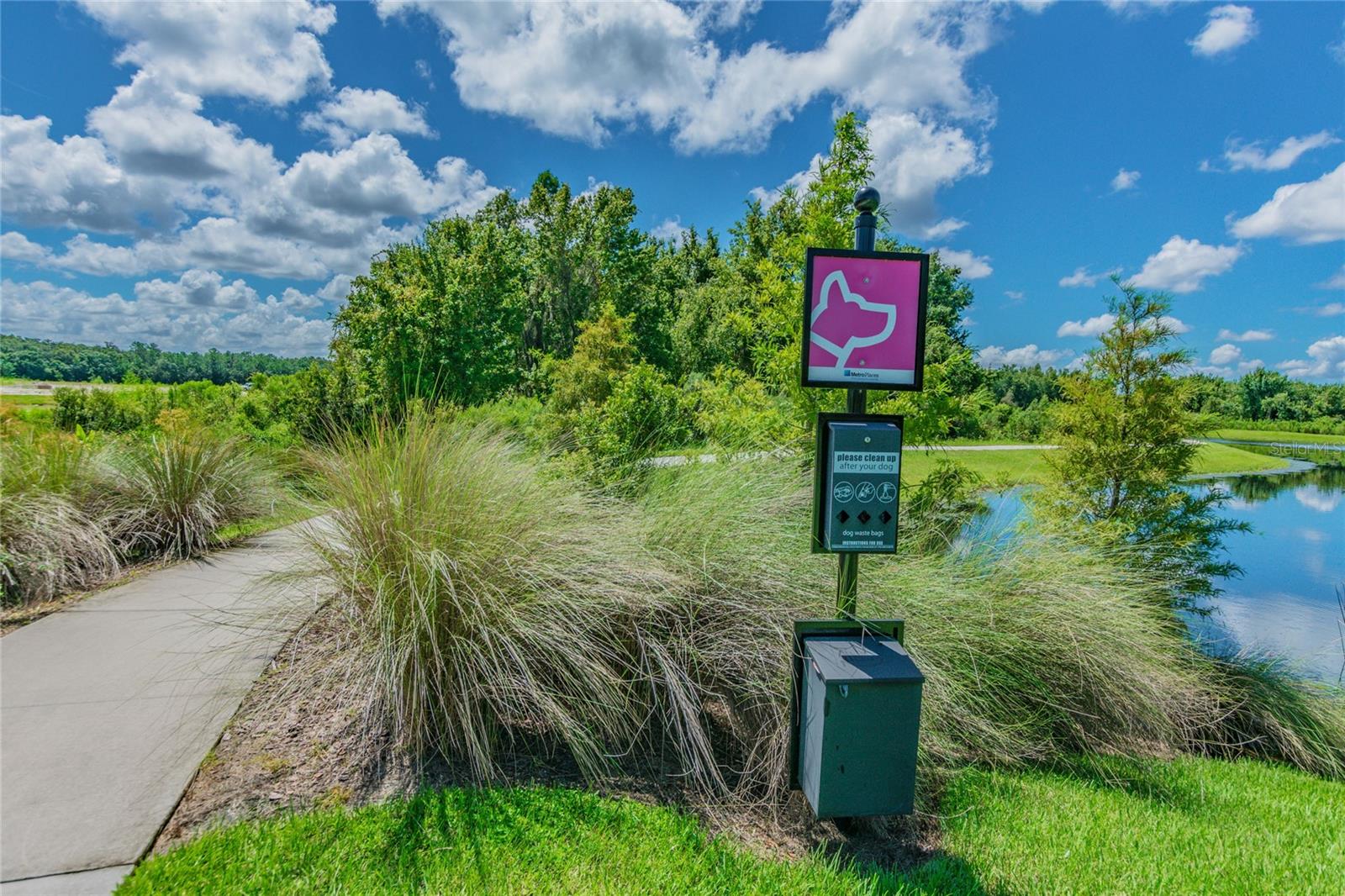 32875 NATURAL BRIDGE RD, WESLEY CHAPEL, FL, 33543