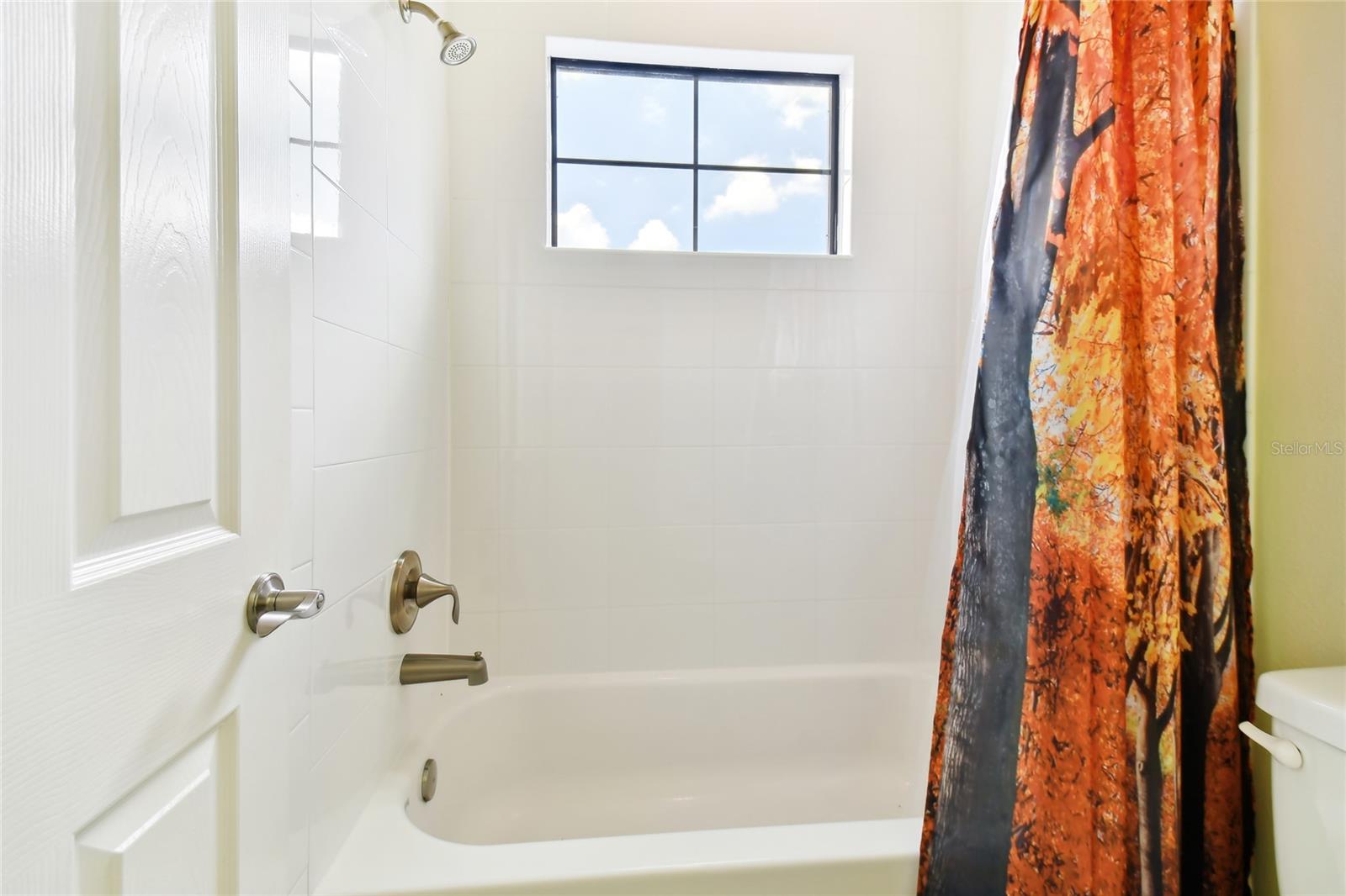 32875 NATURAL BRIDGE RD, WESLEY CHAPEL, FL, 33543