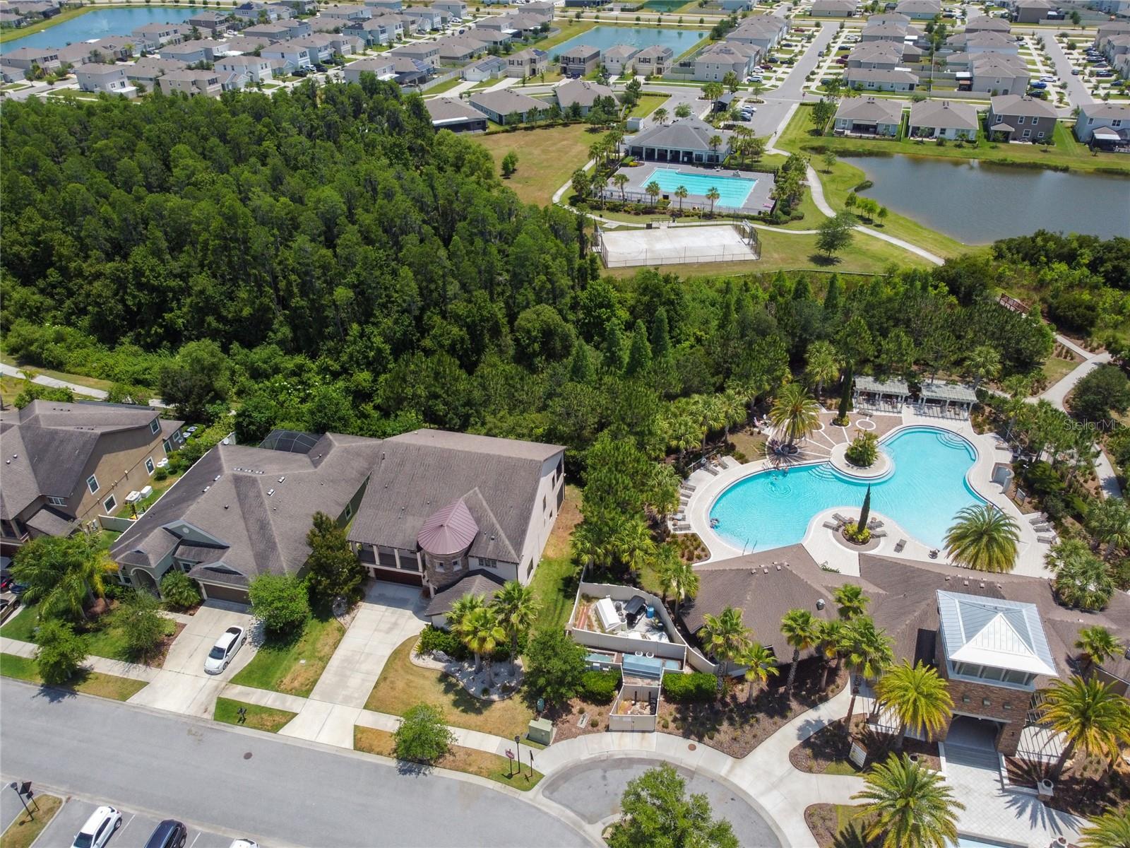 32875 NATURAL BRIDGE RD, WESLEY CHAPEL, FL, 33543