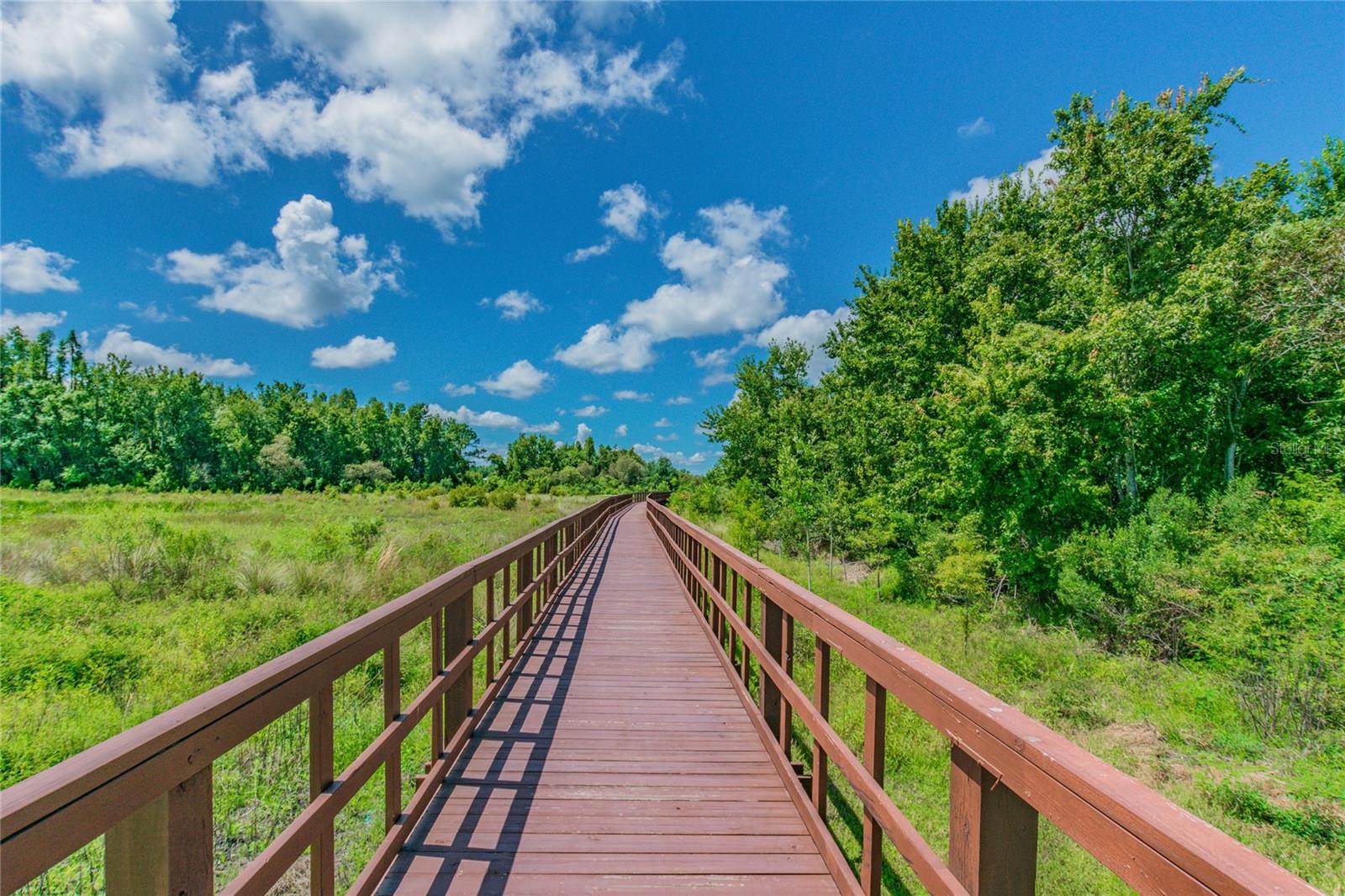 32875 NATURAL BRIDGE RD, WESLEY CHAPEL, FL, 33543