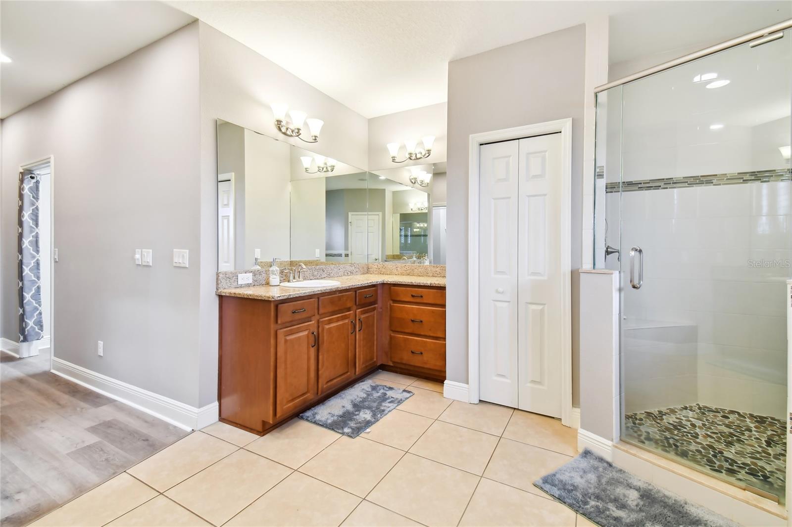 32875 NATURAL BRIDGE RD, WESLEY CHAPEL, FL, 33543
