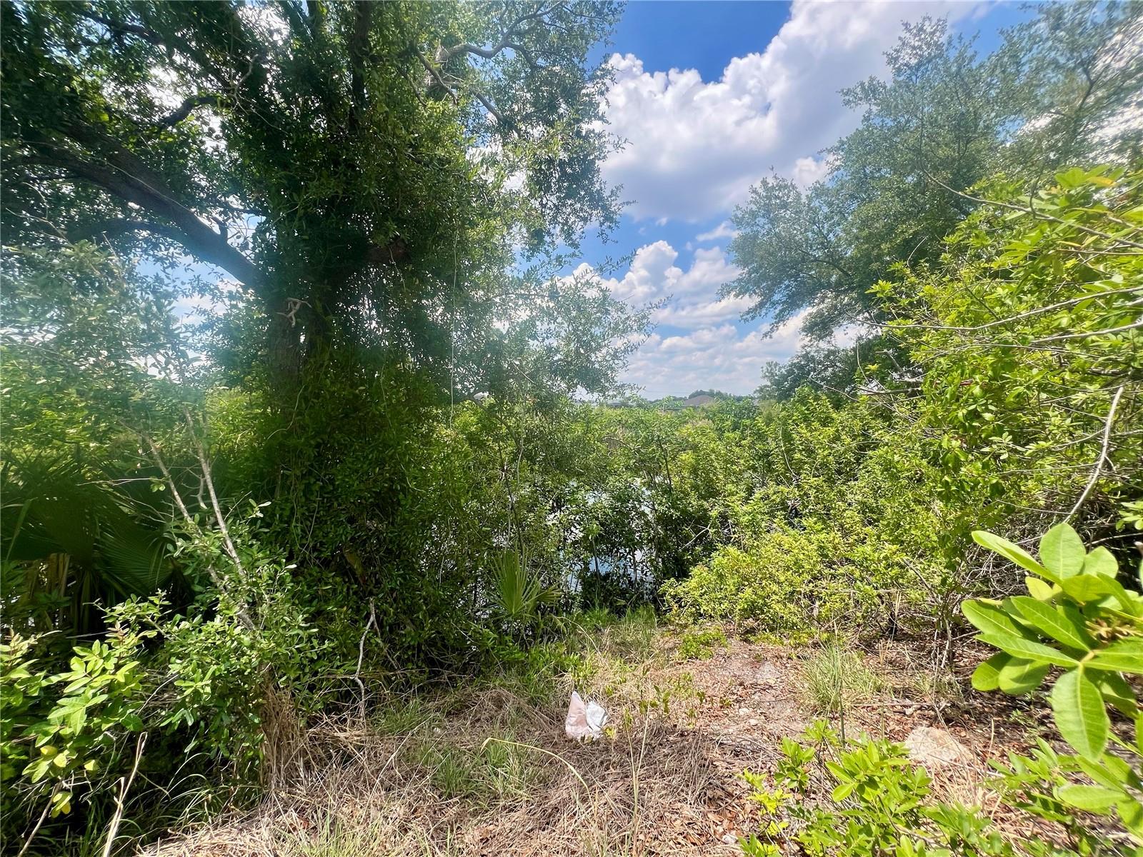 1623 NW 26TH ST, CAPE CORAL, FL, 33993