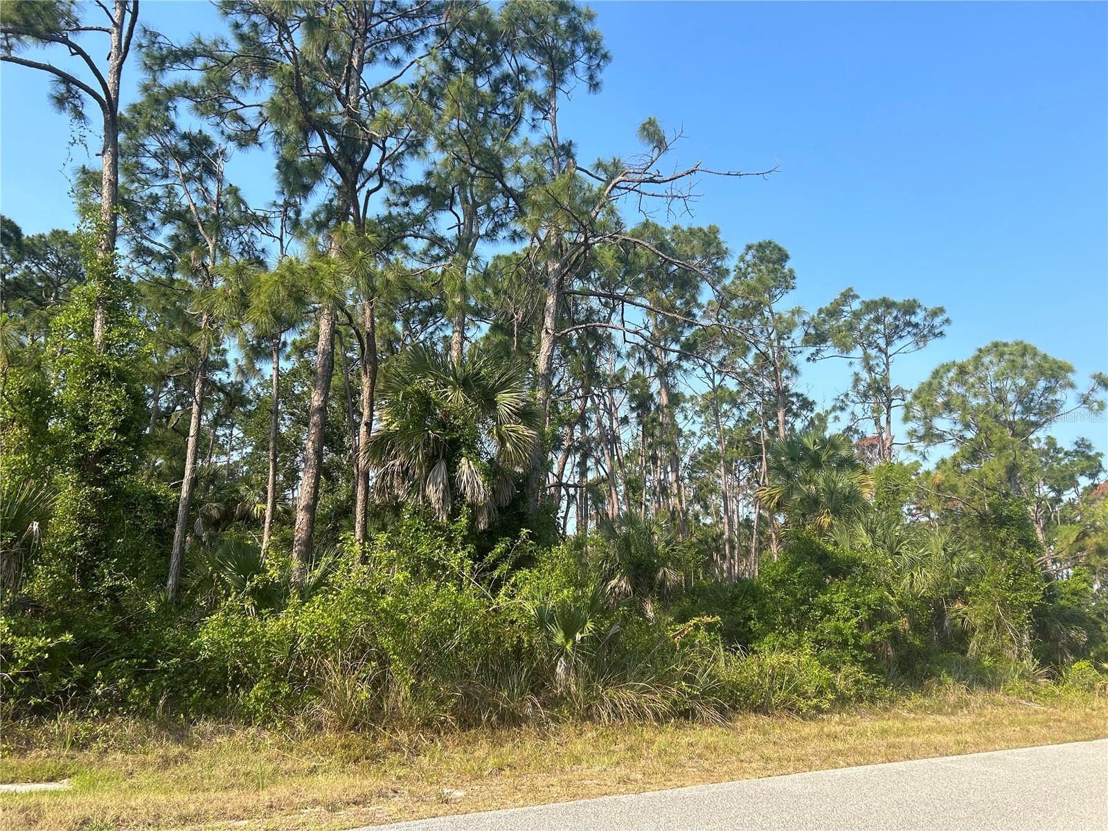 18157 WAKASHAN AVE, PORT CHARLOTTE, FL, 33948