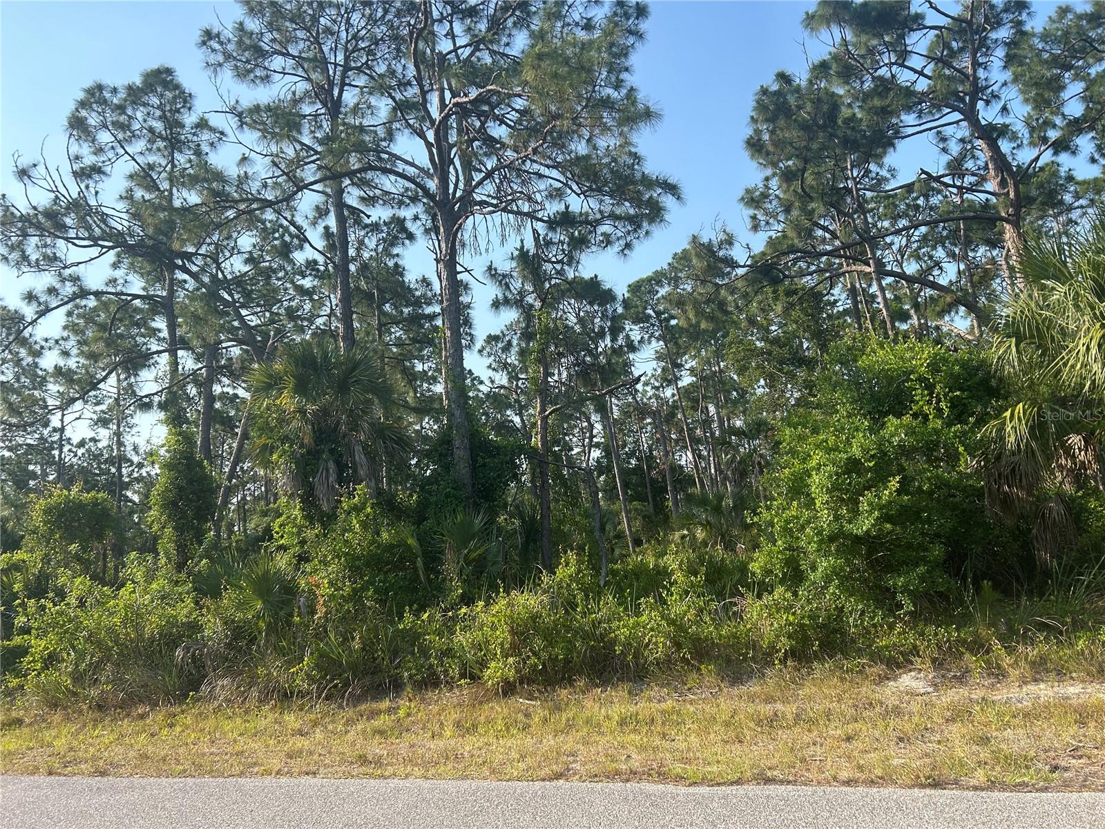 18157 WAKASHAN AVE, PORT CHARLOTTE, FL, 33948