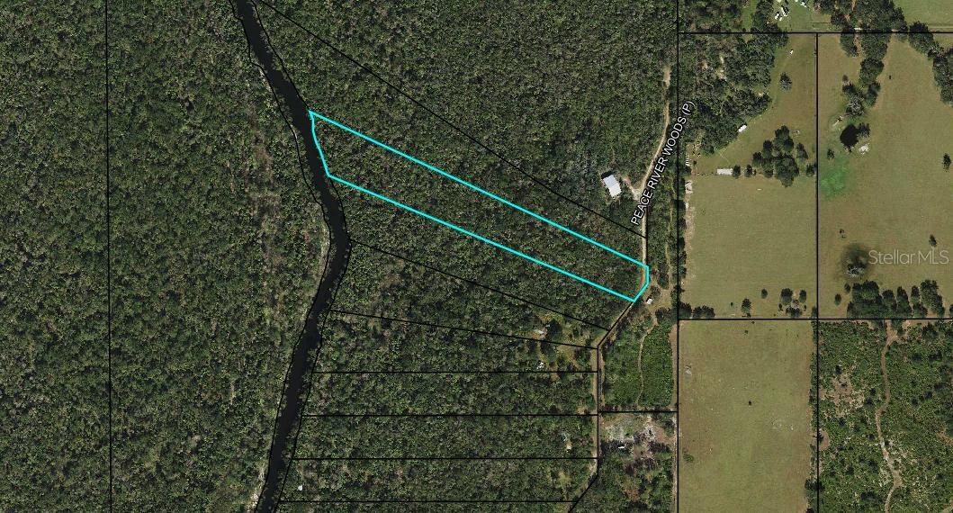 PEACE RIVER WOODS, WAUCHULA, FL, 33873