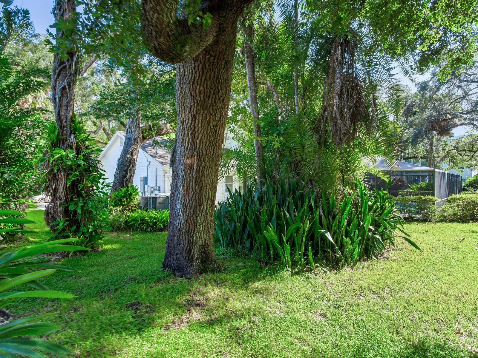 2902 W BAYSHORE CT, TAMPA, FL, 33611