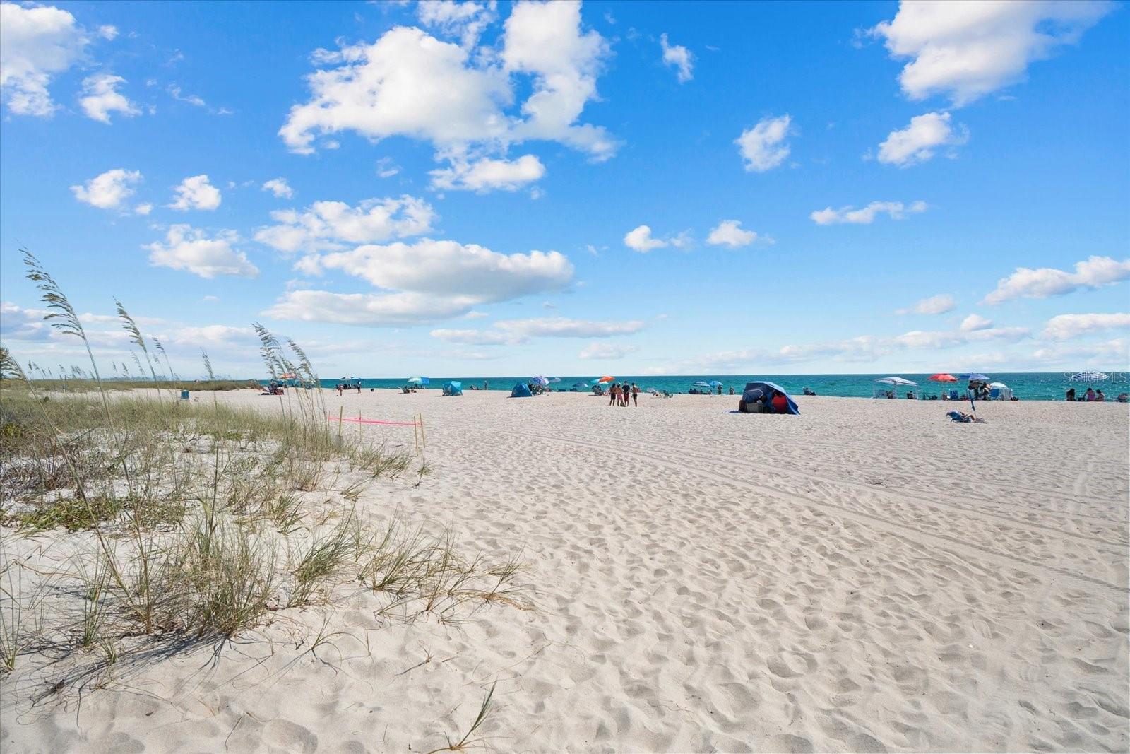 195 CHANDLER RD, NOKOMIS, FL, 34275