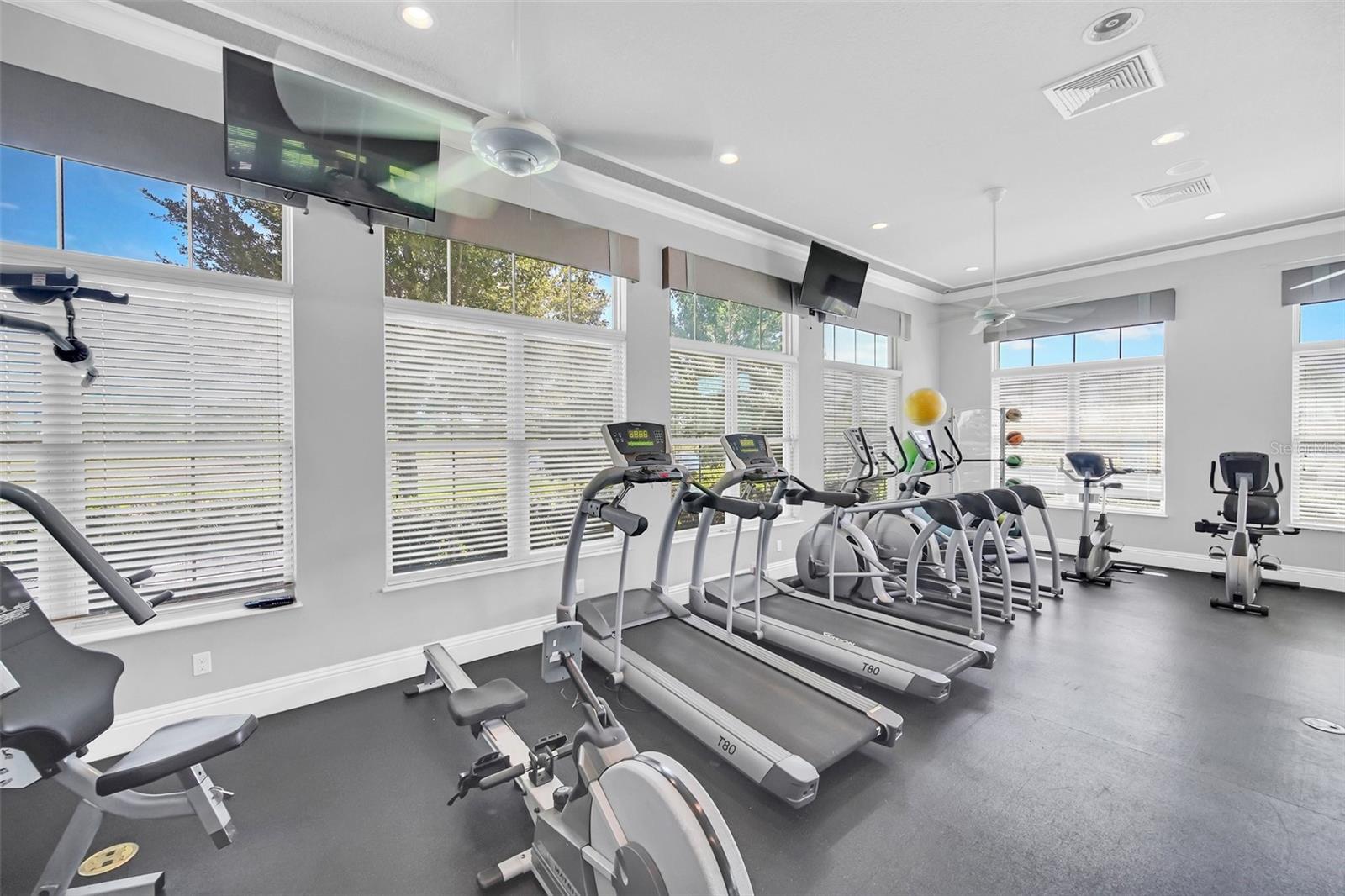 8233 LAKEVIEW CROSSING DR, WINTER GARDEN, FL, 34787