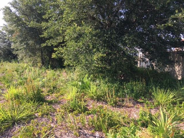 2705 59TH ST W, LEHIGH ACRES, FL, 33971