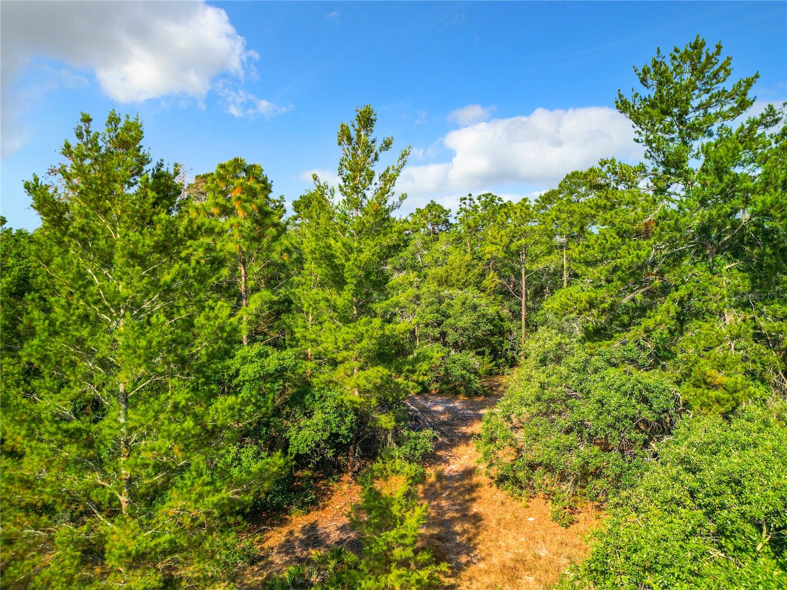 7380 BAHAMA SWALLOW AVE, BROOKSVILLE, FL, 34613