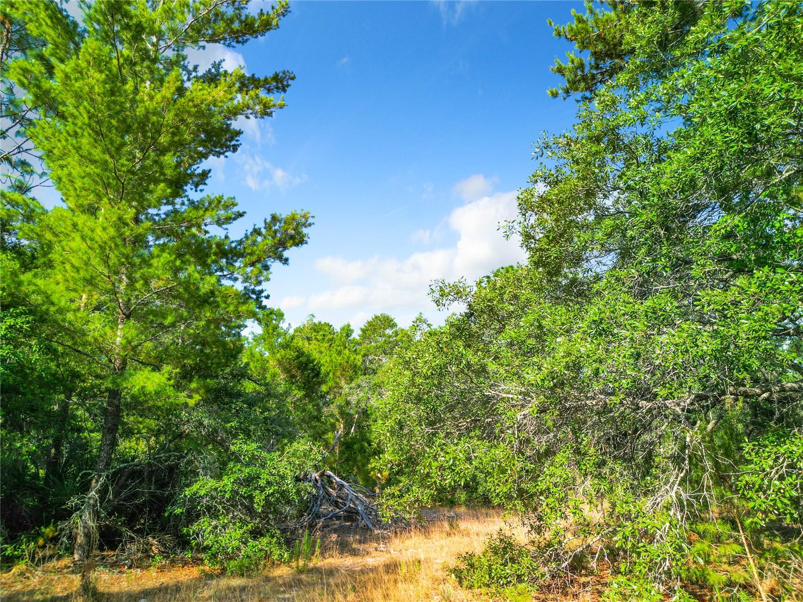 7380 BAHAMA SWALLOW AVE, BROOKSVILLE, FL, 34613