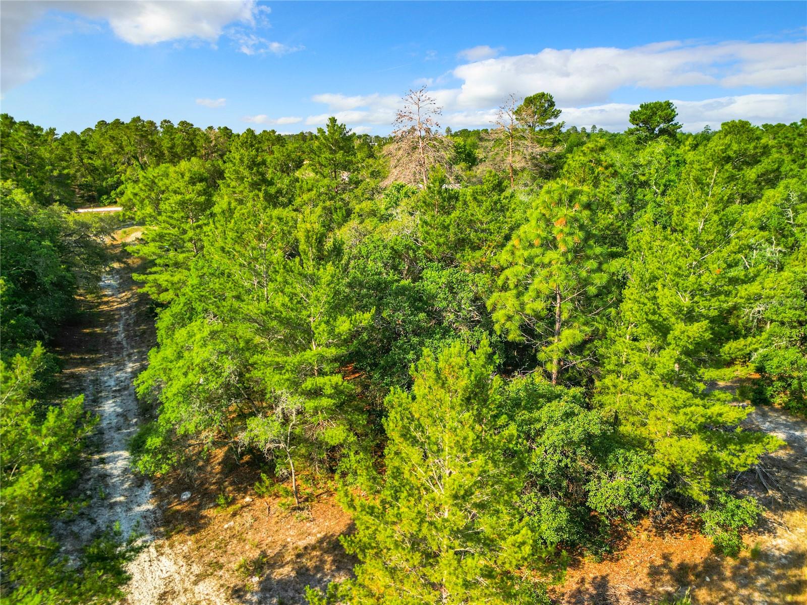 7380 BAHAMA SWALLOW AVE, BROOKSVILLE, FL, 34613