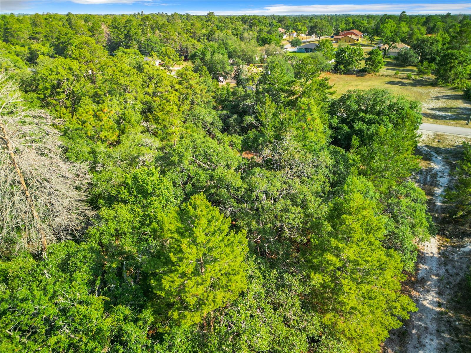 7380 BAHAMA SWALLOW AVE, BROOKSVILLE, FL, 34613