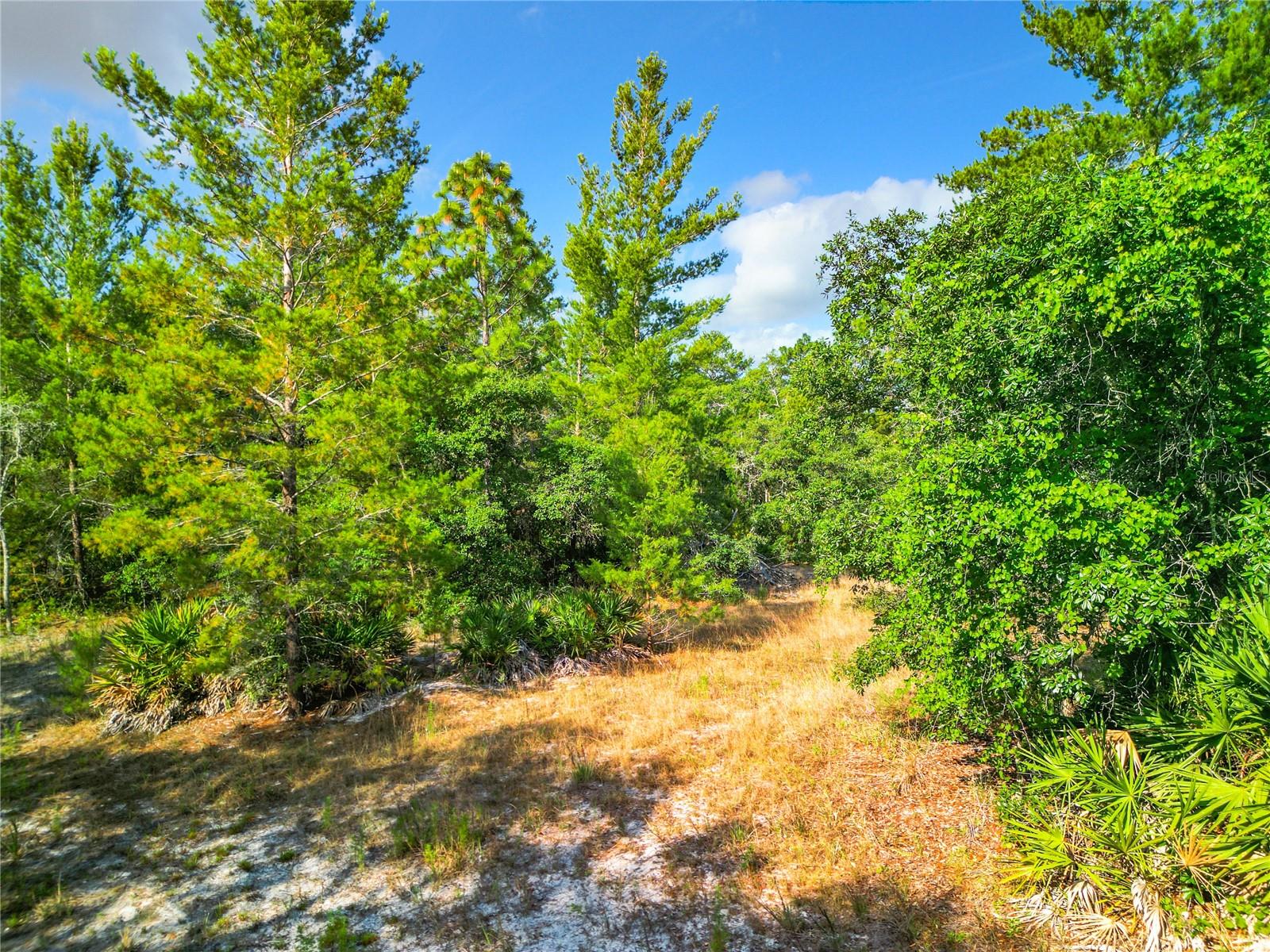 7380 BAHAMA SWALLOW AVE, BROOKSVILLE, FL, 34613