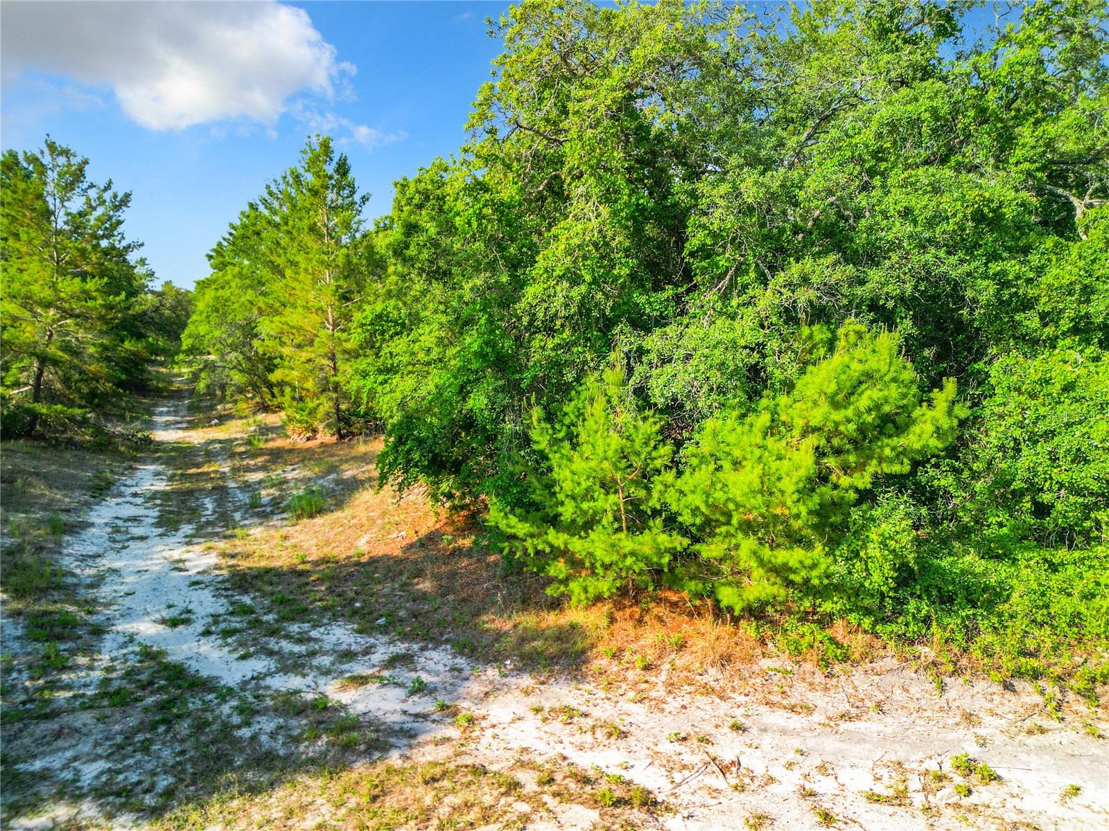 7380 BAHAMA SWALLOW AVE, BROOKSVILLE, FL, 34613